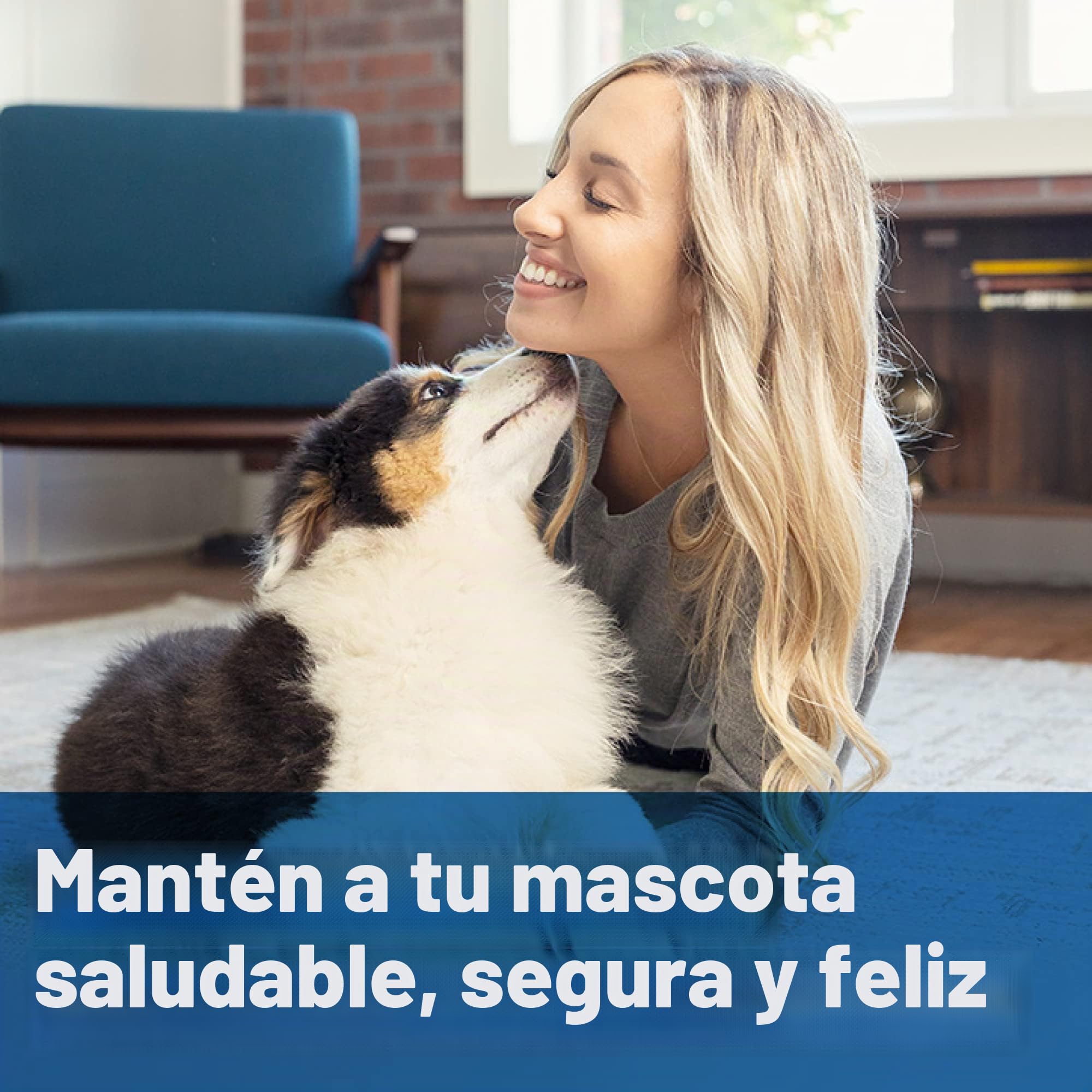 PetSafe Dispositivo de Entrenamiento por Ultrasonidos | Uso Interior y Exterior, Redirige la Atención del Perro