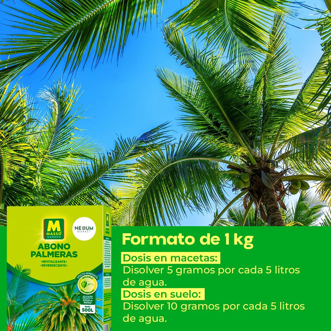 Abono para Palmeras Profesional 1Kg | Fertilizante para Plantas de Efecto Inmediato Revitalizante y Reverdeciente | Ideal para Exterior e Interior, Soluble en Agua de Riego (Hasta 500L) | Nexum Market