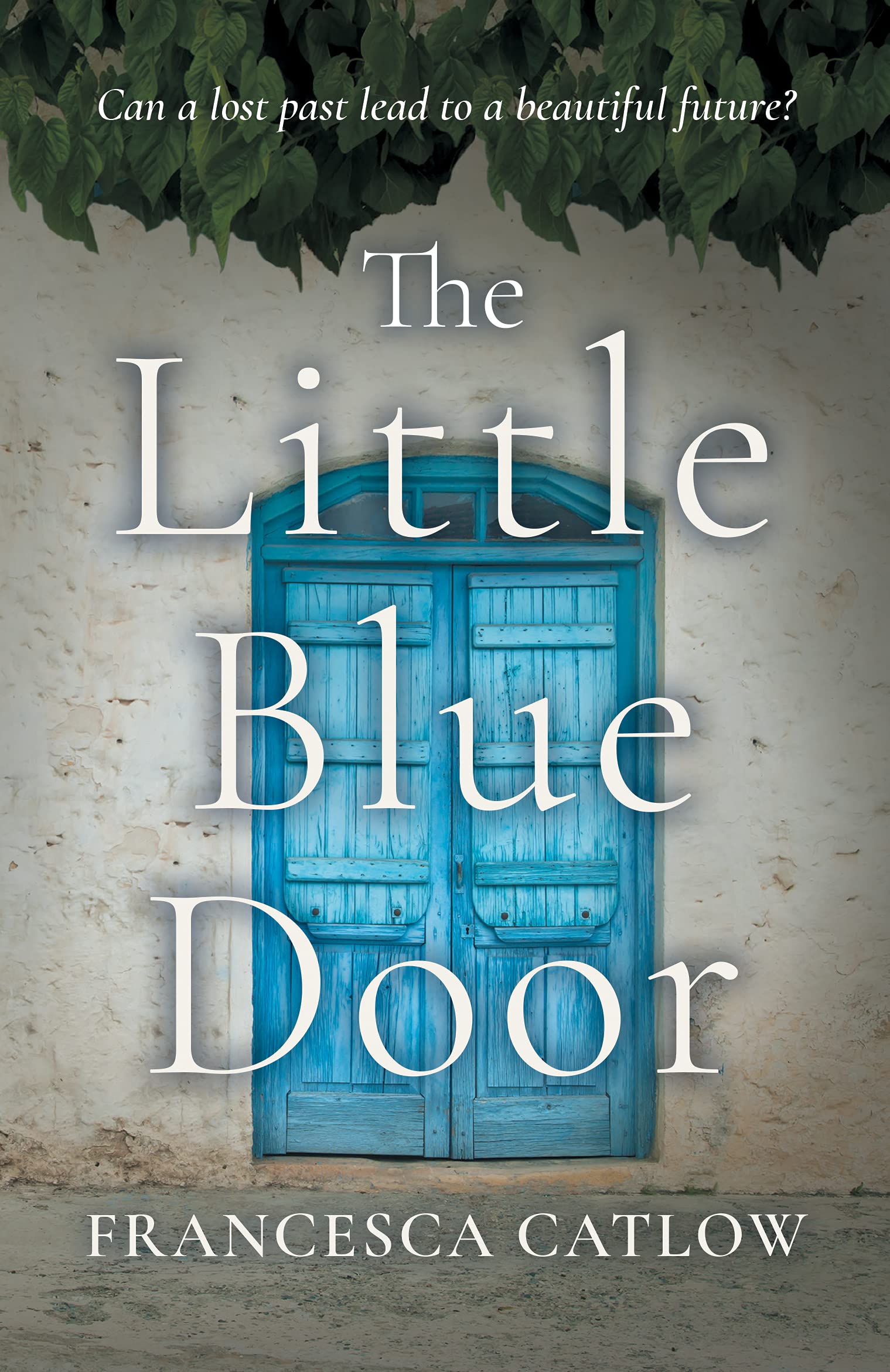 The Little Blue Door (Little Blue Door Series Book 1)