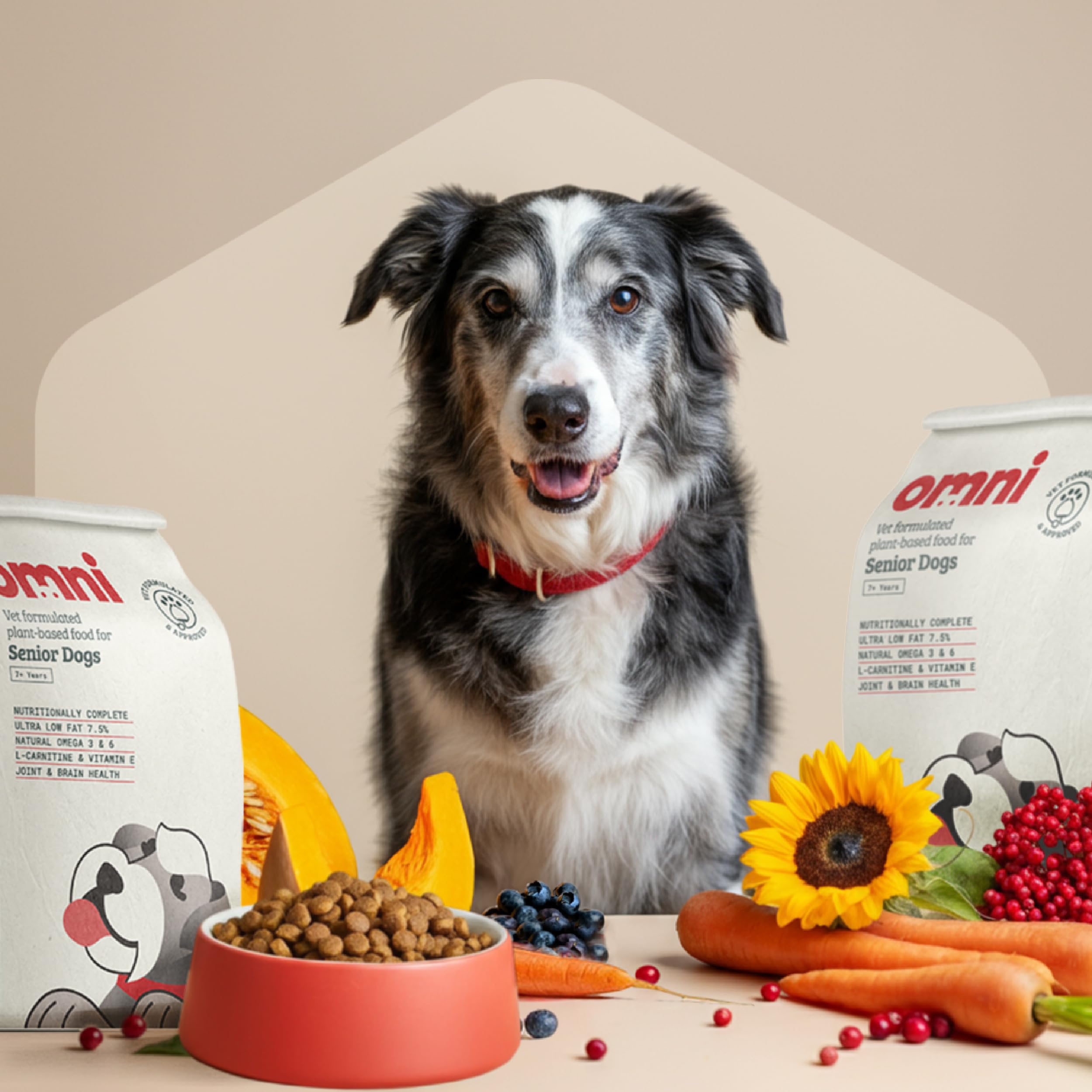 Omni Nährstoffreiches Hundefutter Trocken für ältere Hunde - Unterstȕtz die Leber, Nieren und Herzgesundheit, Omega-reich für die Gelenke, Tierarzt Formuliertes Trockenfutter für Hunde, 6 Kg