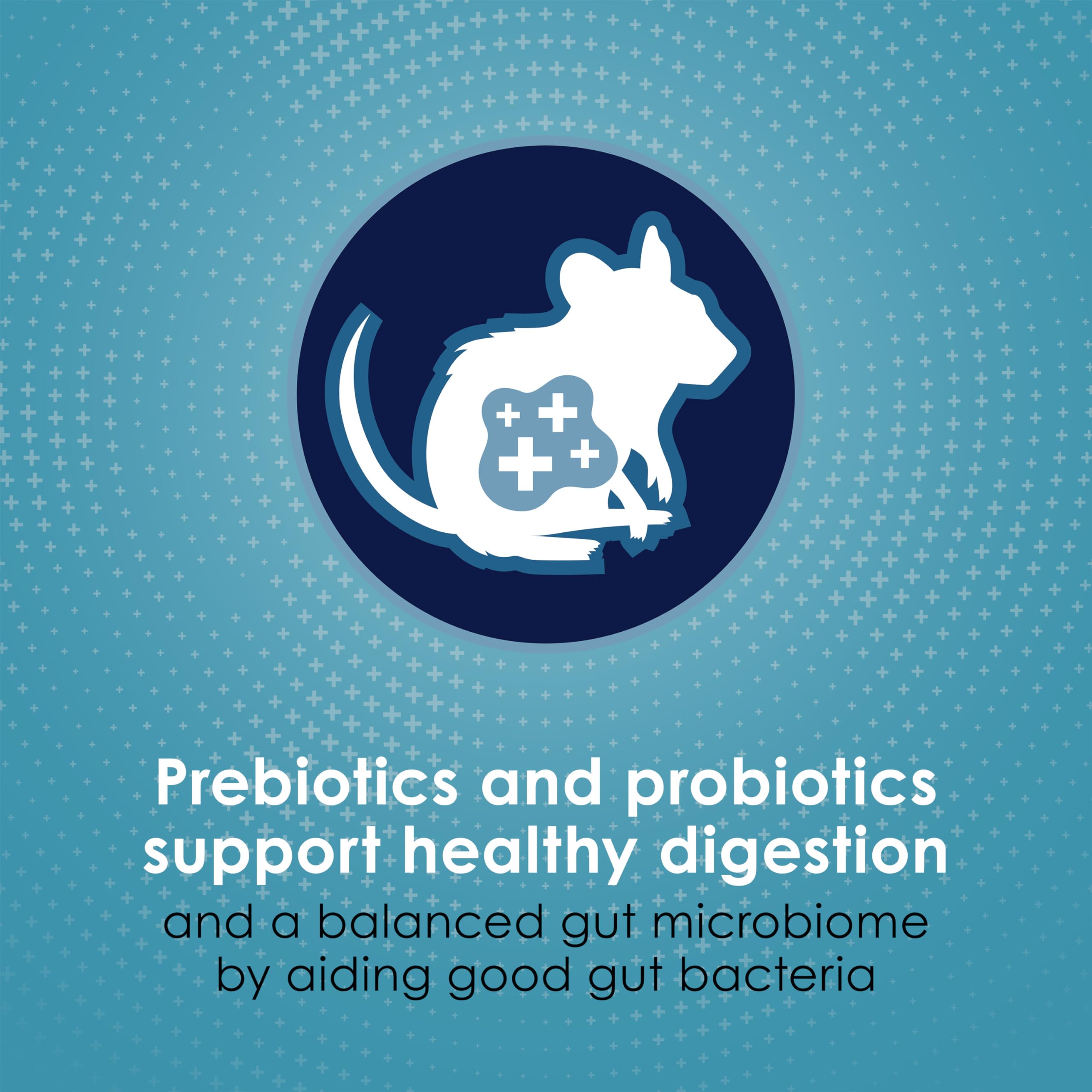 Kaytee Forti Diet Pro Health Small Animal Food For Mouse And Pet Rats, 3-Pound