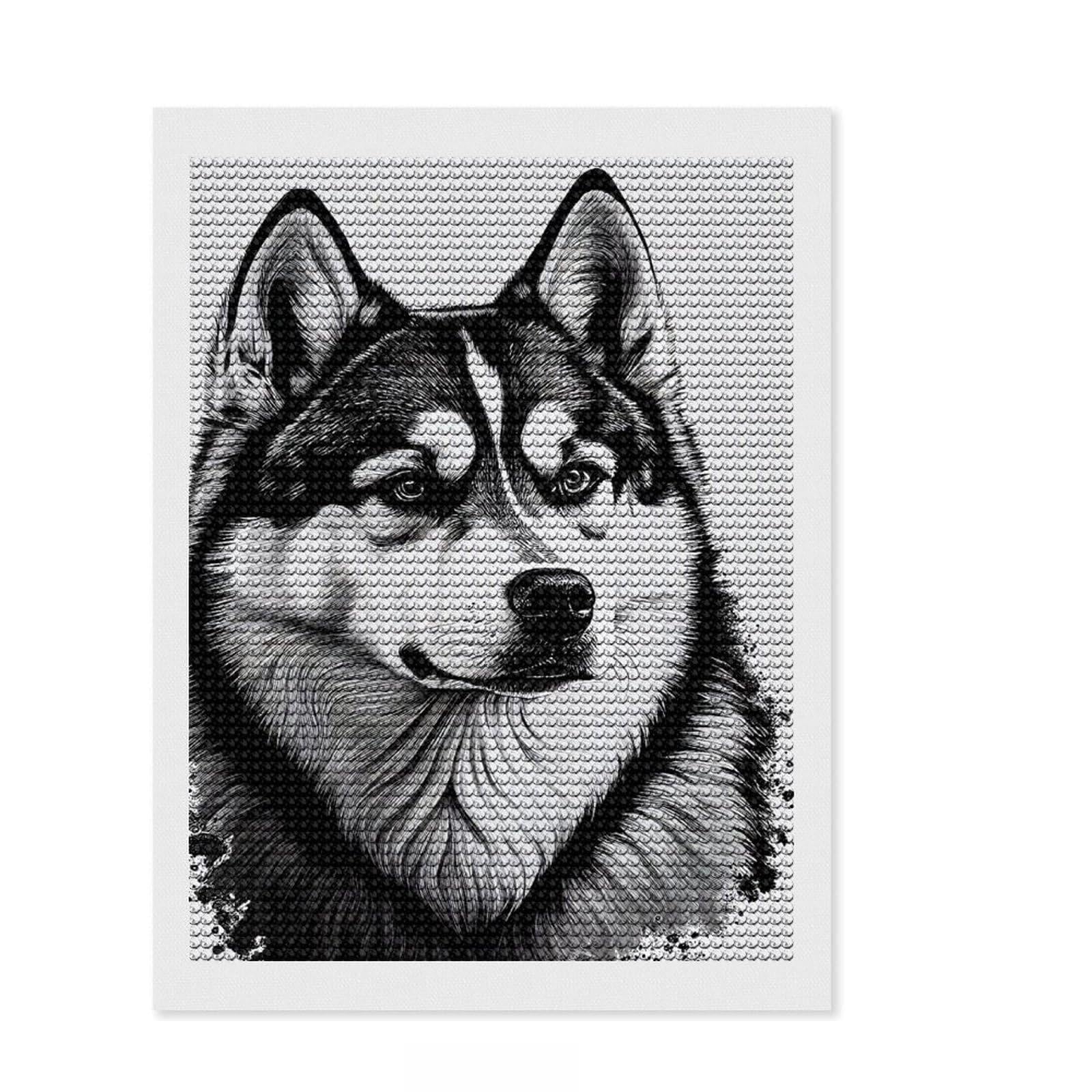 Junmoney Siberian Husky Drawing Dog Full Drill Diamond Painting Kit 12"x16", Complete Accessories, Neat Printed Canvas, Creative Leisure Activity