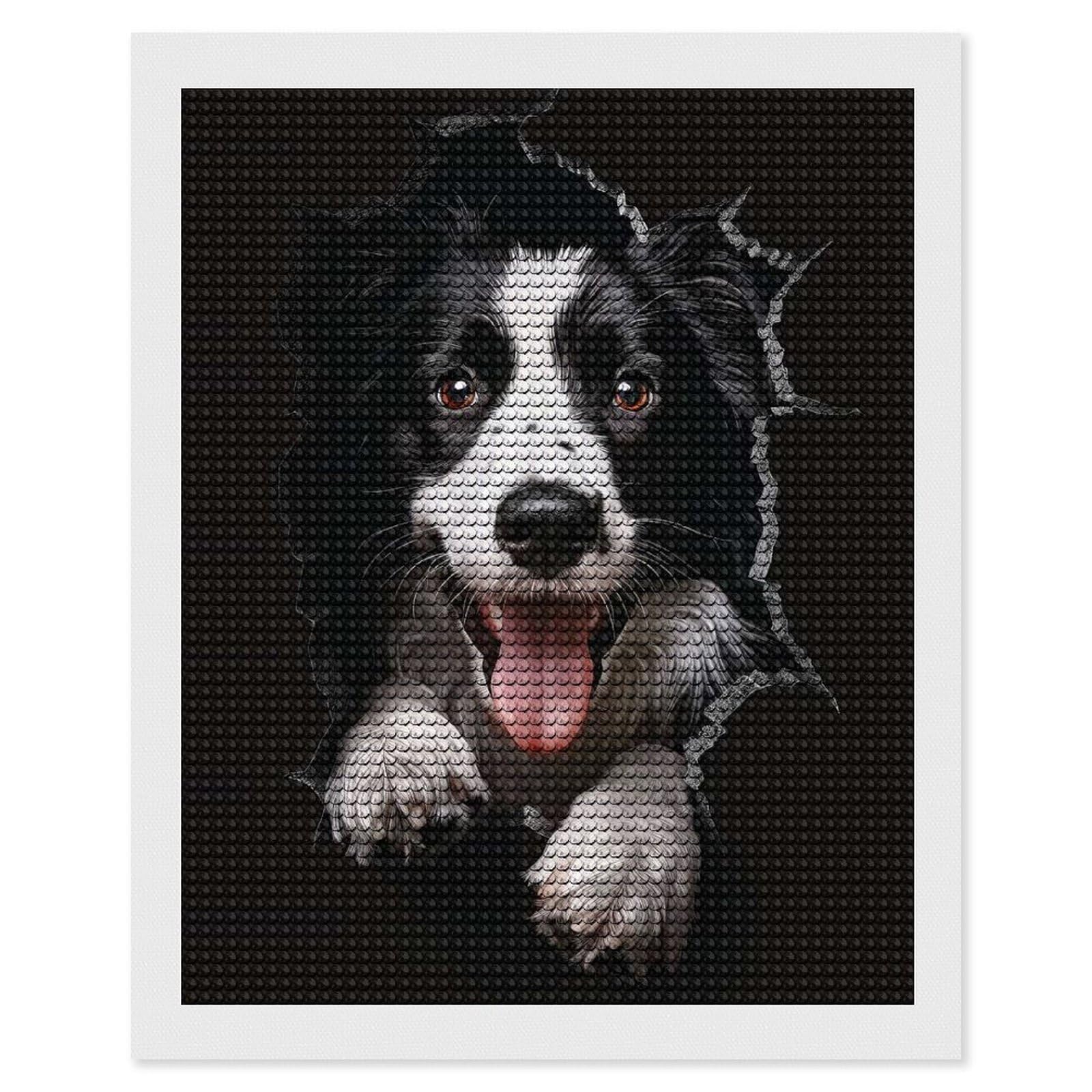 Junmoney Border Collie Dog Diamond Art Kit 16"x20", Neat Printed Canvas, Finish and Display, Relaxing DIY Hobby, Living Room Decor