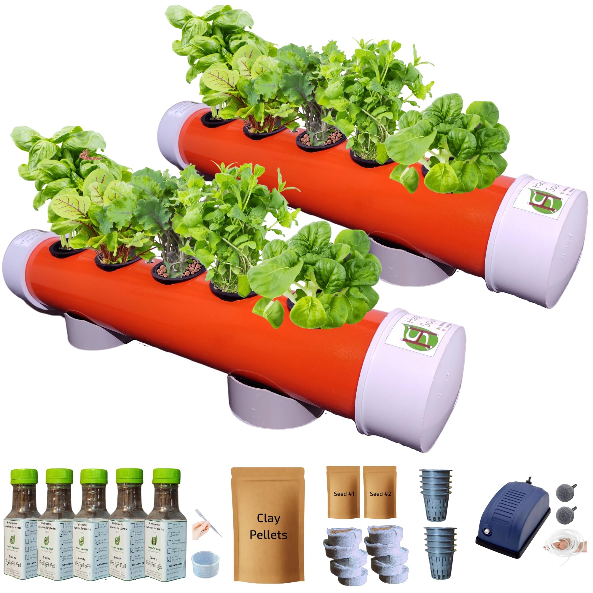 Happy Squirrel Beginner Hydroponic Kit for Home (10 Plants) Hydroponic System | Ideal to Place in Balcony, Window, Office | Grow Leafy Herbs & Greens like Spinach, Mint, Coriander, Lettuce, Basil etc.