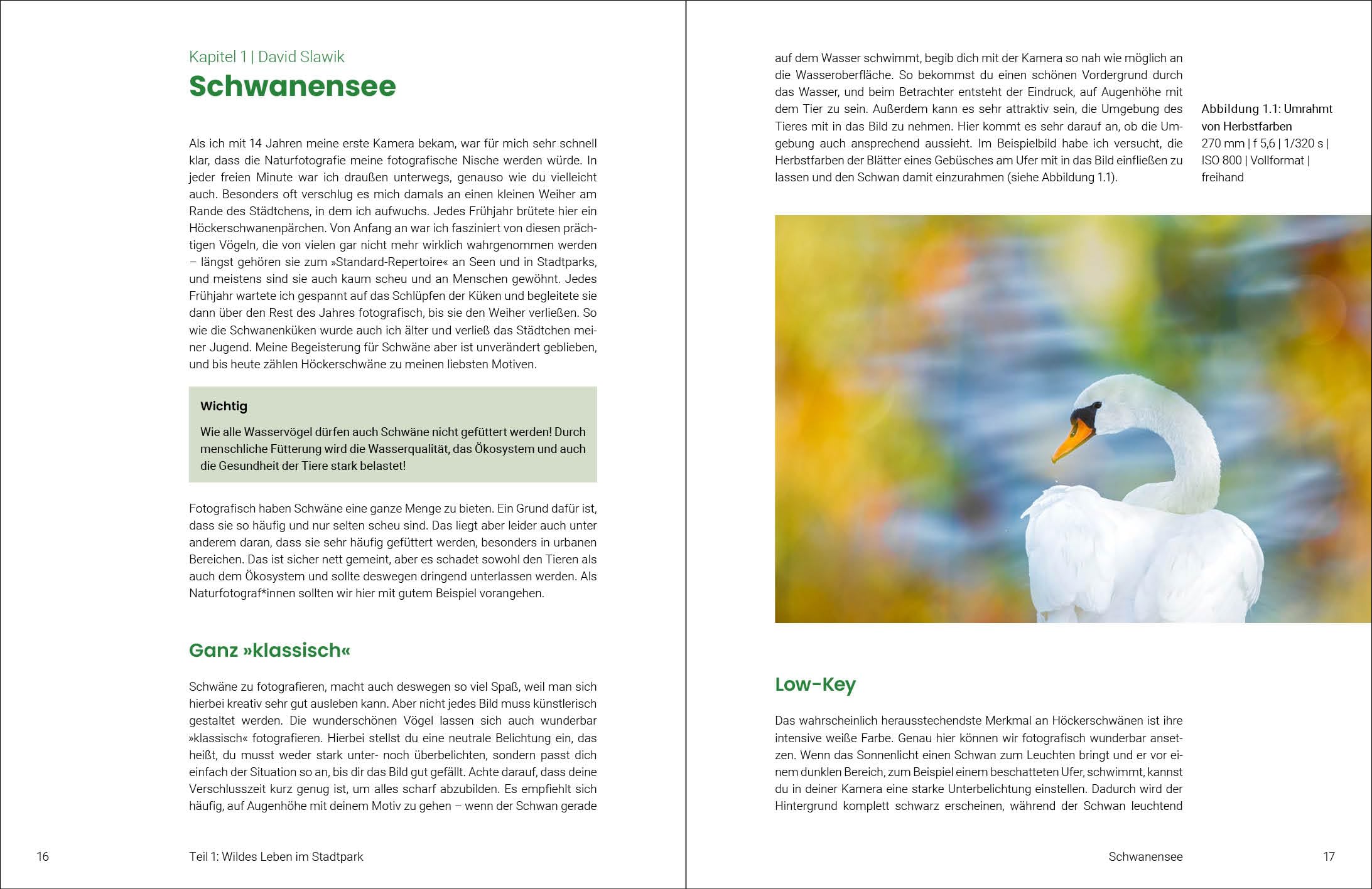 Naturfotografie für Jugendliche: Entdecke die Schönheit der Natur mit der Kamera