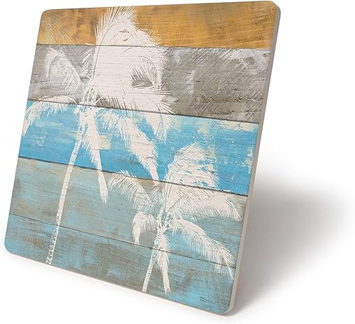 CoasterStone - Salvamanteles de cerámica con absorción de calor, 7.0in de ancho