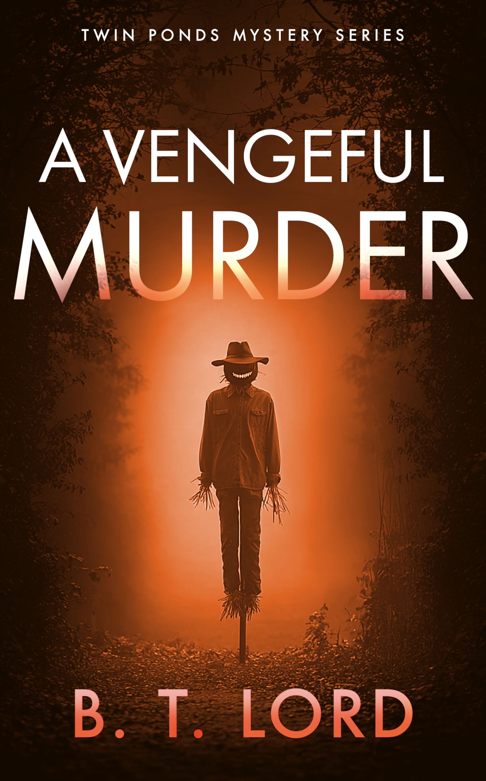 A Vengeful Murder: 10 (Twin Ponds Mystery Series)