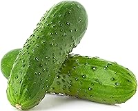 RDRSeeds National Pickling Cucumber Seeds - Heirloom Non-GMO USA Grown, High Germination for Perfect Pickles & Gardens