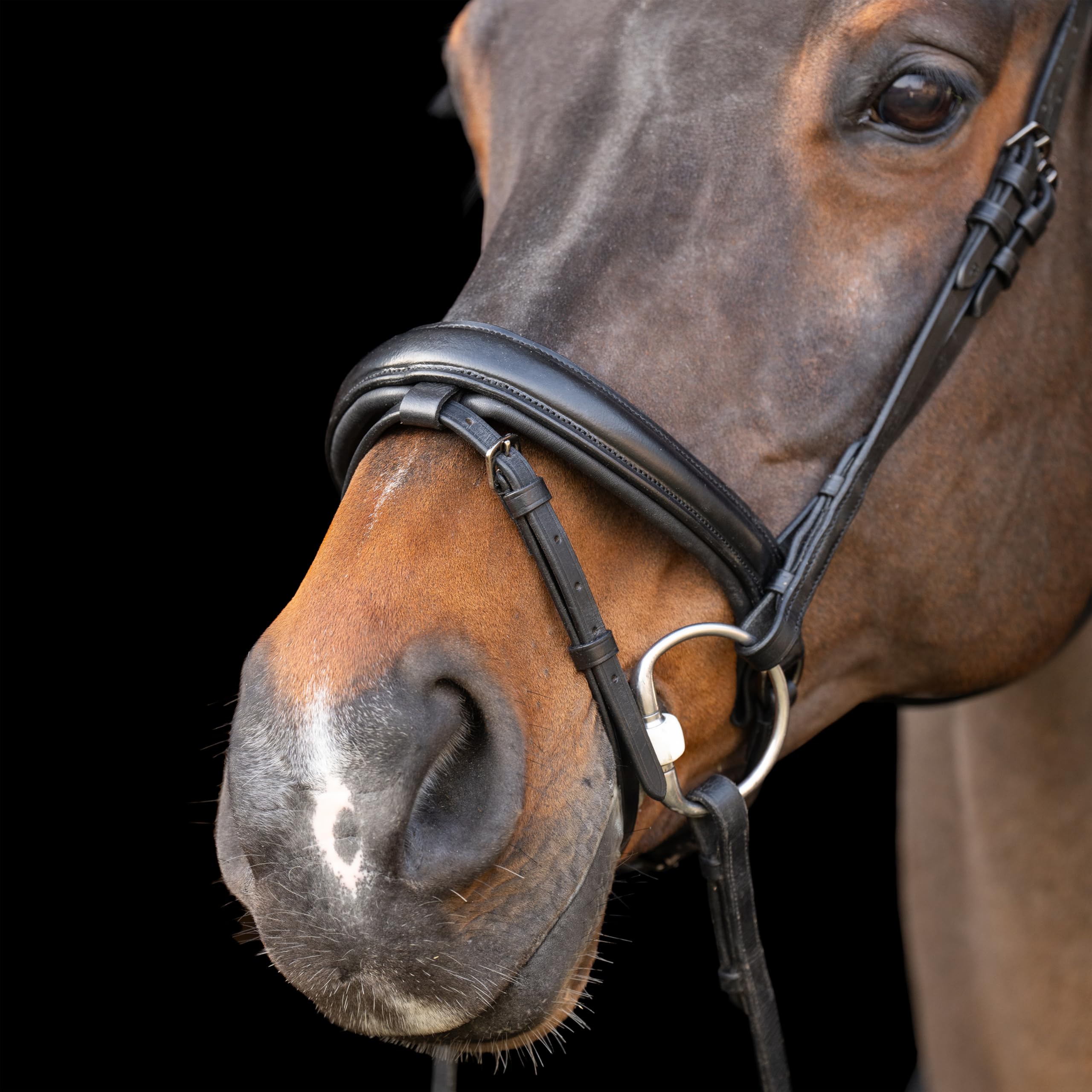 Imperial Riding IRH Ogłowie z angielskim noskiem, opaska na czoło ze strasu i wyściełana nakrycie głowy, skóra, czarny/czarny, Shetty