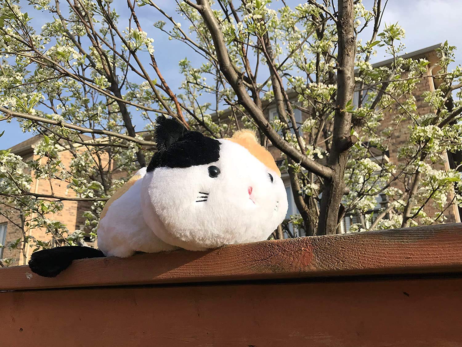 ティッシュカバー 猫 ネコ 選べる カラー ティッシュボックス ティッシュケース ティッシュカバー おしゃれ ぬいぐるみ かわいい