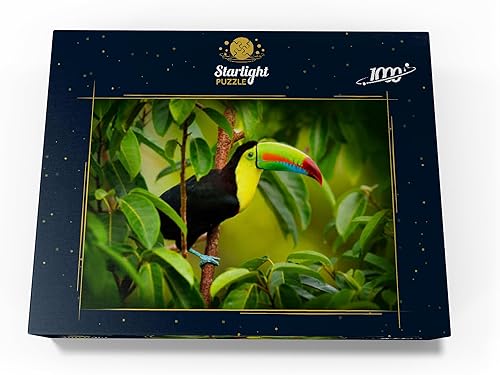 Miniatura 4 de MyPuzzle Costa Rica Wildlife - Rompecabezas de 1000 piezas para adultos - Toucan Sitting On The Branch in The Forest