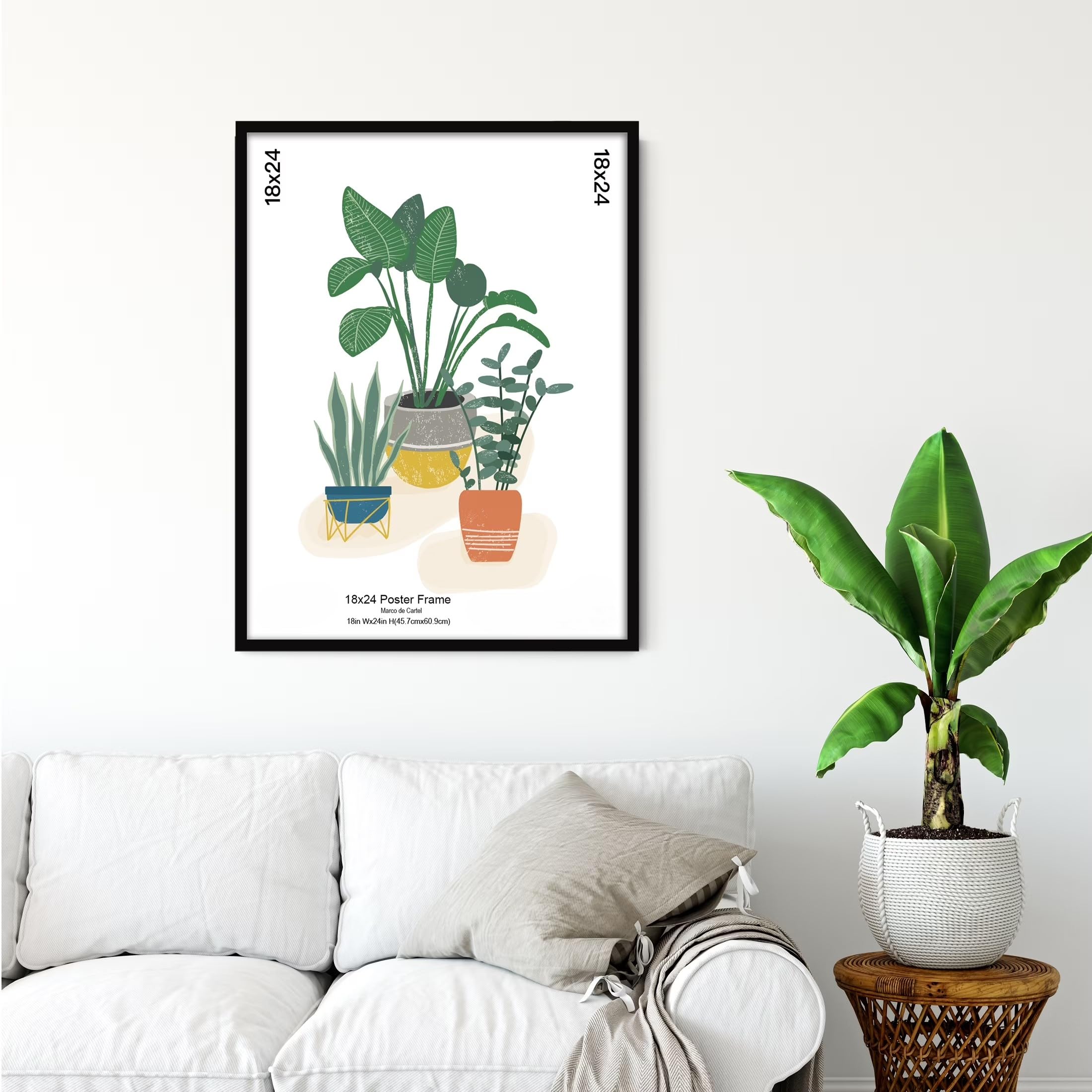 https://m.media-amazon.com/images/I/81by0JhEp9L.jpg