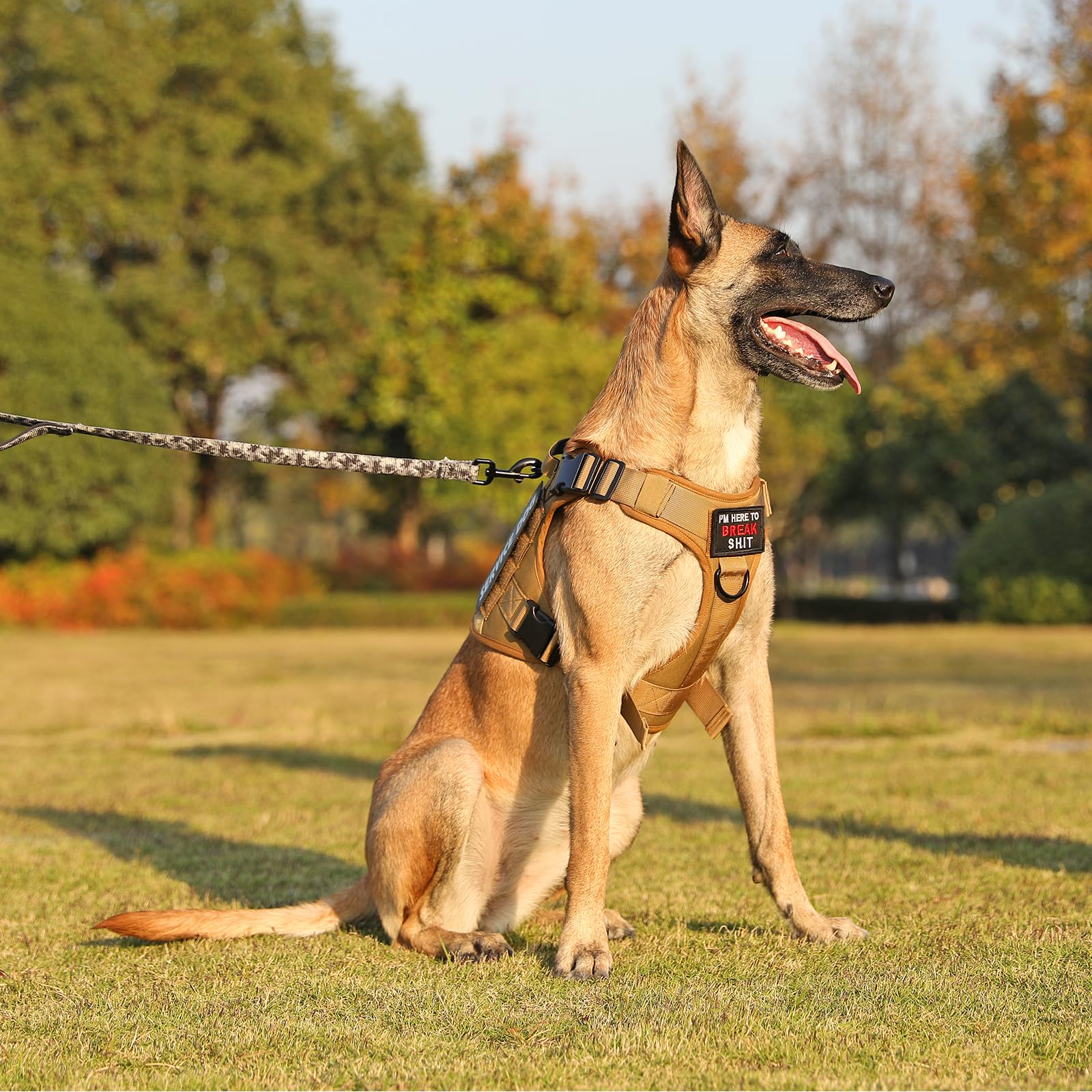 COMSLE Harnais Tactique Anti-Traction pour Chien Petit Moyen Grand Chien
