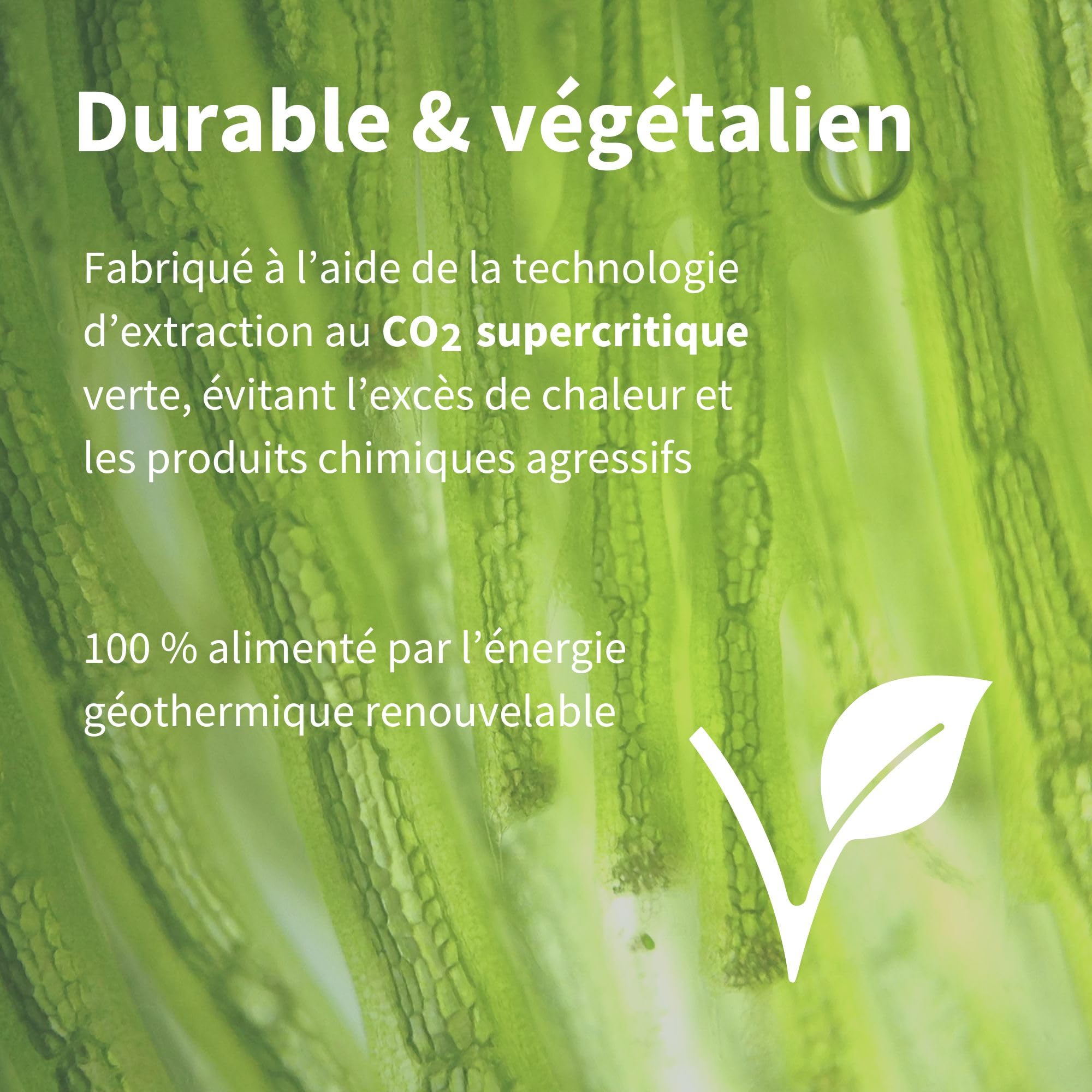 Astaxanthine Vegan, Complexe Antioxydant Naturel, 3 mois, 42mg provenant de algues ultra pures et durables, Lutéine et Zéaxanthine, 90 gélules – par Igennus