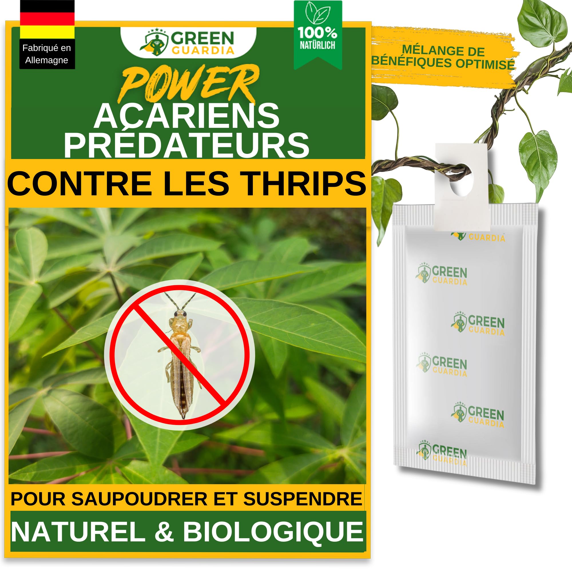 Raubmilben contre les Thrips sachet Acarien Prédateur Biologique GREEN GUARDIA Plante d'Intérieur - 14