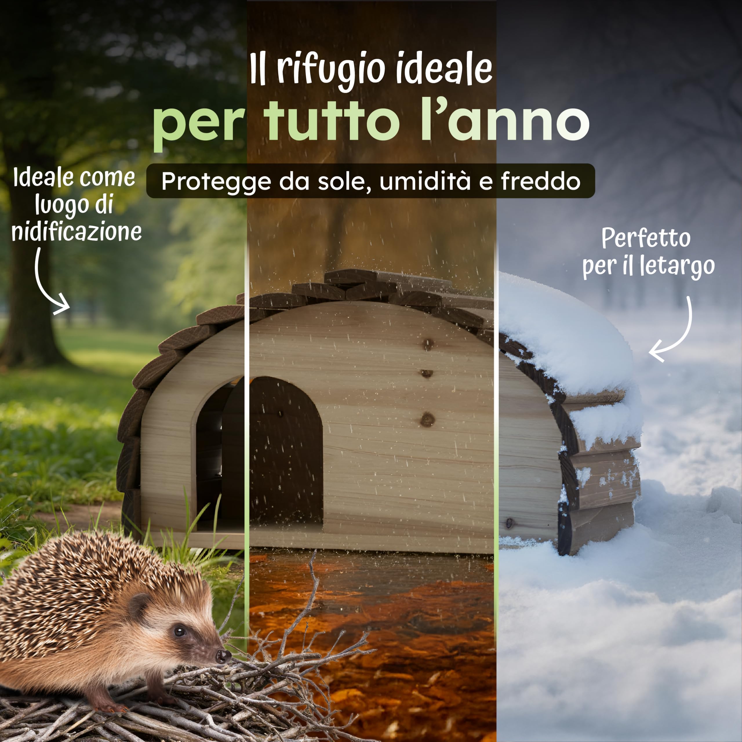Moorland Casetta per ricci – Rifugio invernale 35×21 cm con base fissa, ingresso ventilato a labirinto e tetto fisso, in legno FSC, resistente alle intemperie per giardino