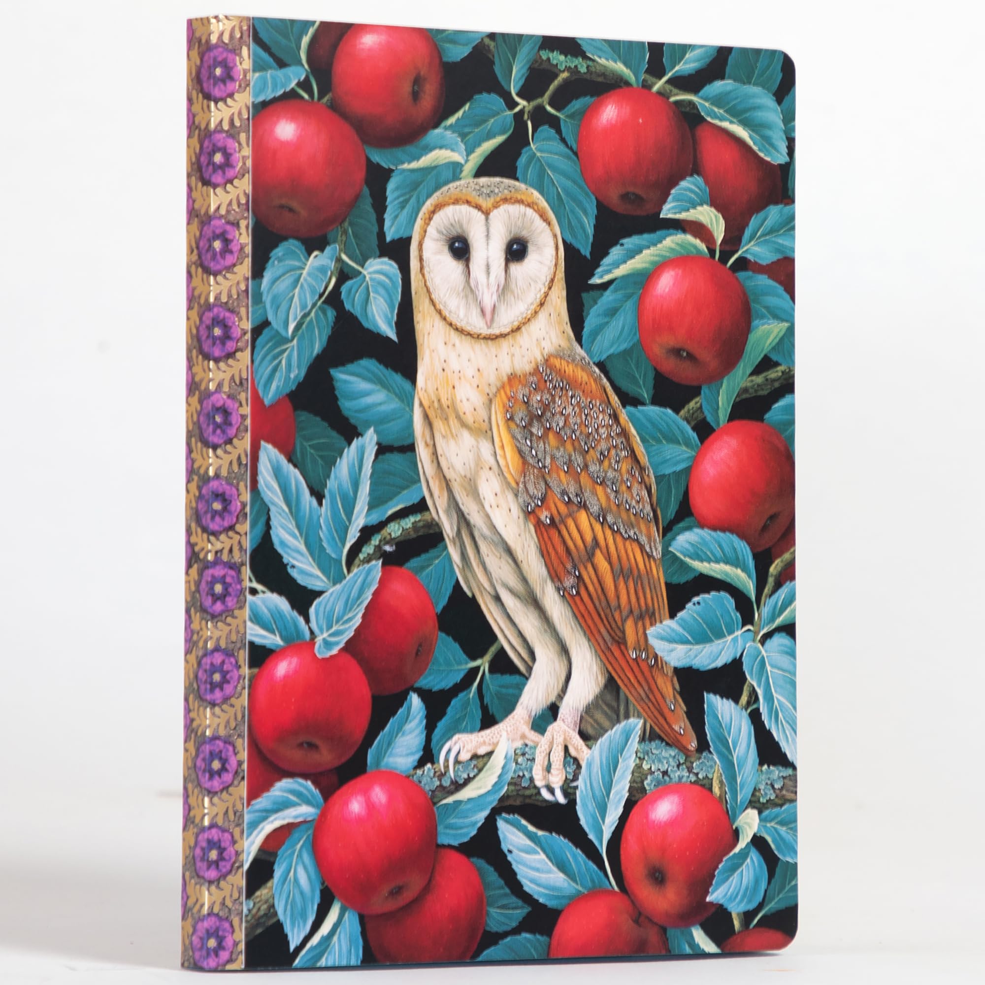 Journal eeBoo Barn Owl : carnet de notes et croquis pour adulte avec 112 pages mixtes