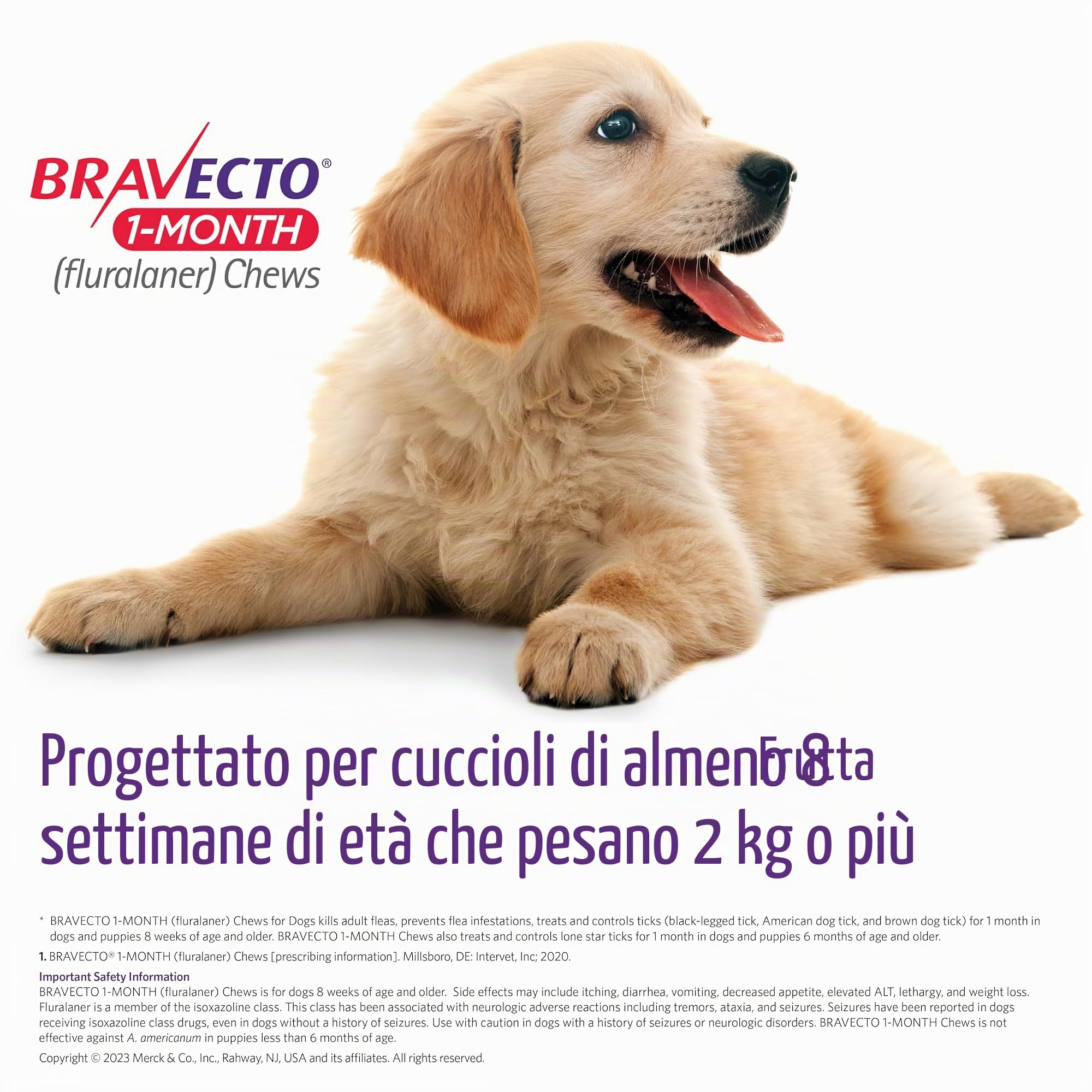 Bravecto 1-Mese Antiparassitario per Pulci e Zecche per Cuccioli, 1 Masticabile, Fornitura di 1 Mese, >9,9-10 Kg, Scatola Arancione