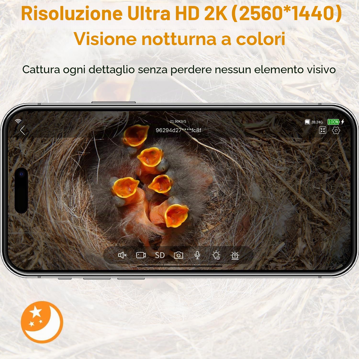 Casetta per uccelli con fotocamera, 5MP HD, per esterni, notifica WiFi 2,4 G e App, osserva la nidificazione e la schiusa, registrazione automatica di video degli uccelli e rilevamento del movimento
