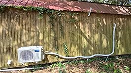 Review Image by Craig Craig