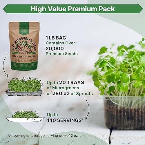 Miniatura 3 de Organo Republic Semillas de remolacha para brotes y microverdes - 20,000 semillas de legado sin OMG, brotes al por mayor en bolsa resellable de 1