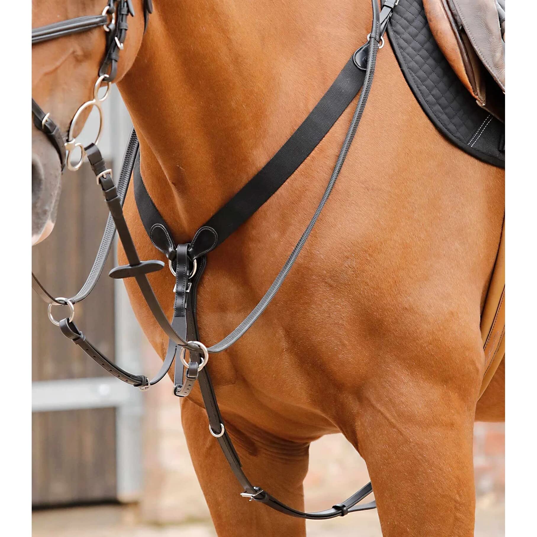 Premier Equine Martingala per Cavalli Baressa