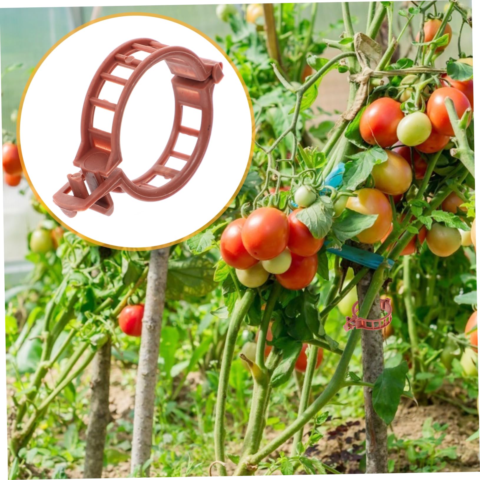 400stücke Pflanzenclips Für Tomaten Wiederverwendbare Kunststoffklammern Unterstützung Von Pflanzenstängeln Für Garten Und Gewächshaus
