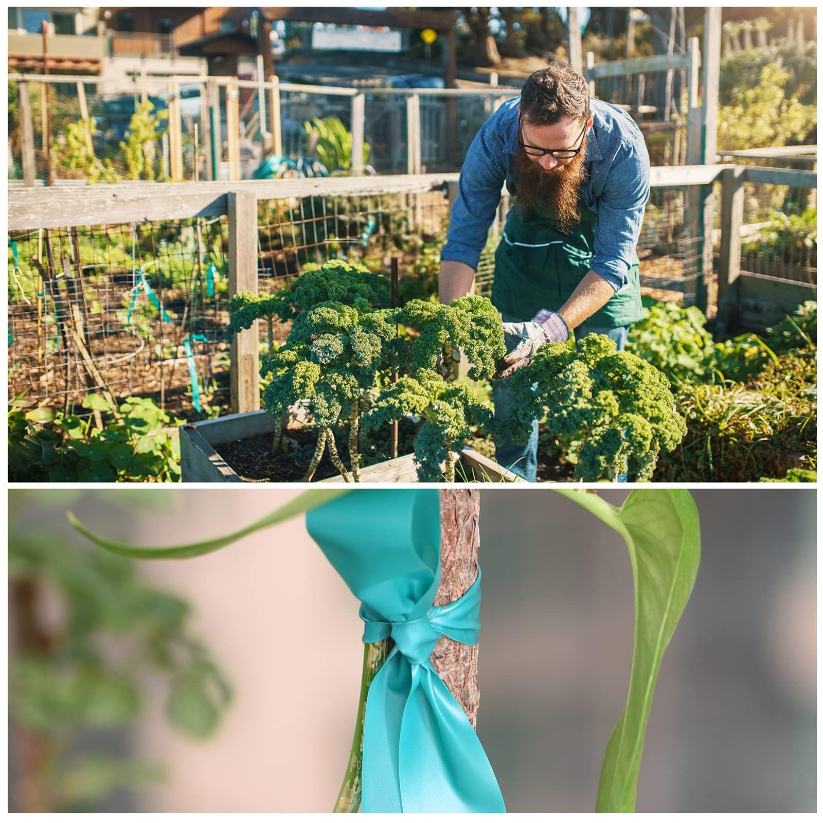 TELENT OUTDOORS Cinta elástica de 1 pulgada de ancho, 200 pies, reutilizable, para plantas de jardín, cintas verdes para plantas, cinta gruesa de vinilo de jardín para ramas, flores, tomates,