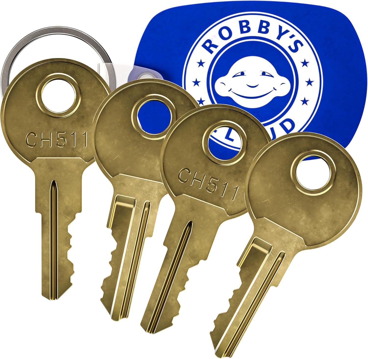 Robby's Cloud CH503 Replacement Key for Truck Boxes and Paddle Handle Boxes Marked CH-503-1 Keychain Included - Key style May Vary (4 Pack)