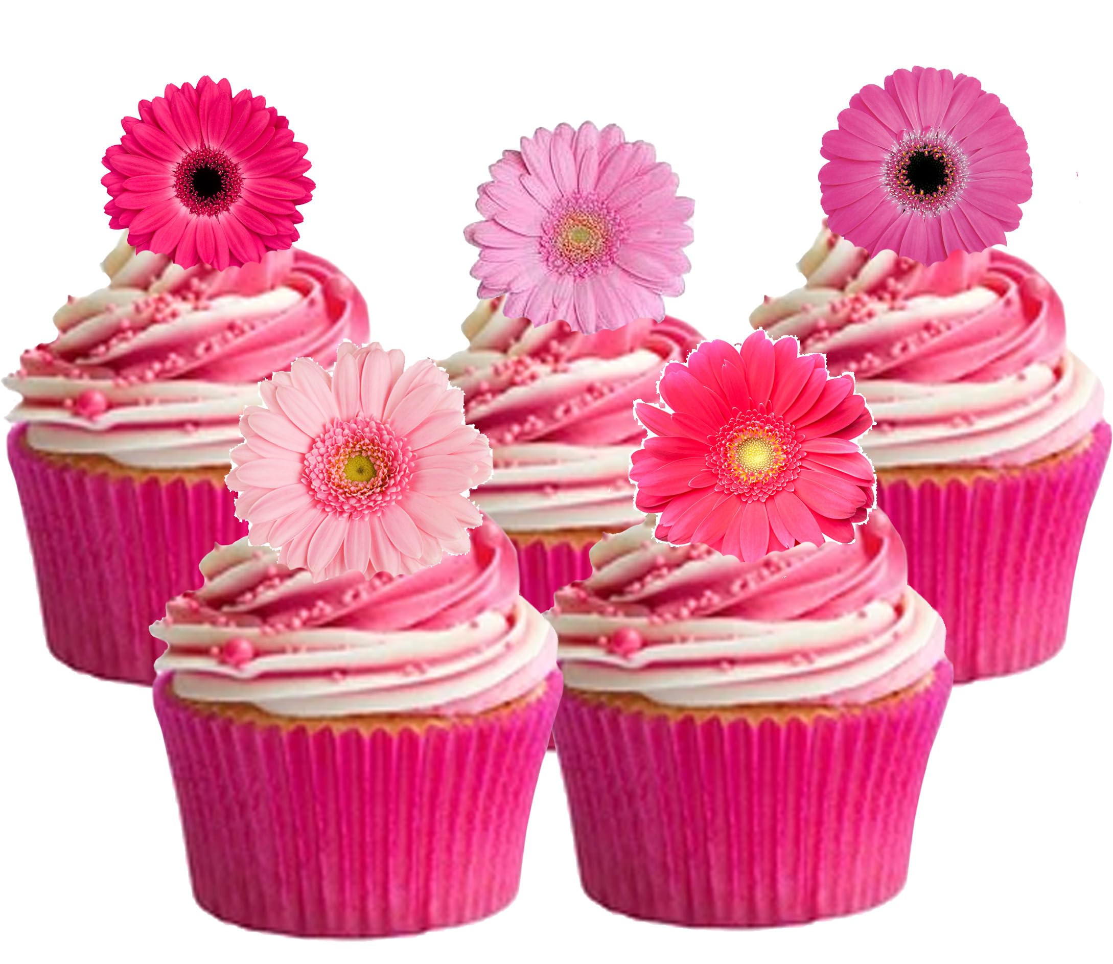30 Gorgeous Mixed Pink Gerbera Flower Edible Wafer Paper Cake Toppers Decorations