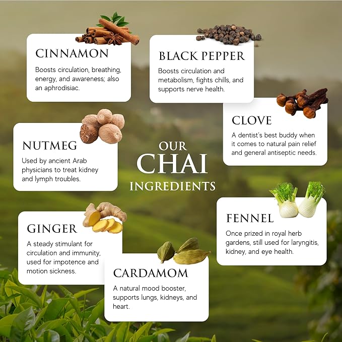 Té Negro Concentrado de Jengibre y Canela Pack 6 miniatura 4