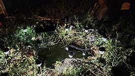 Review Image by Silvie Silvie