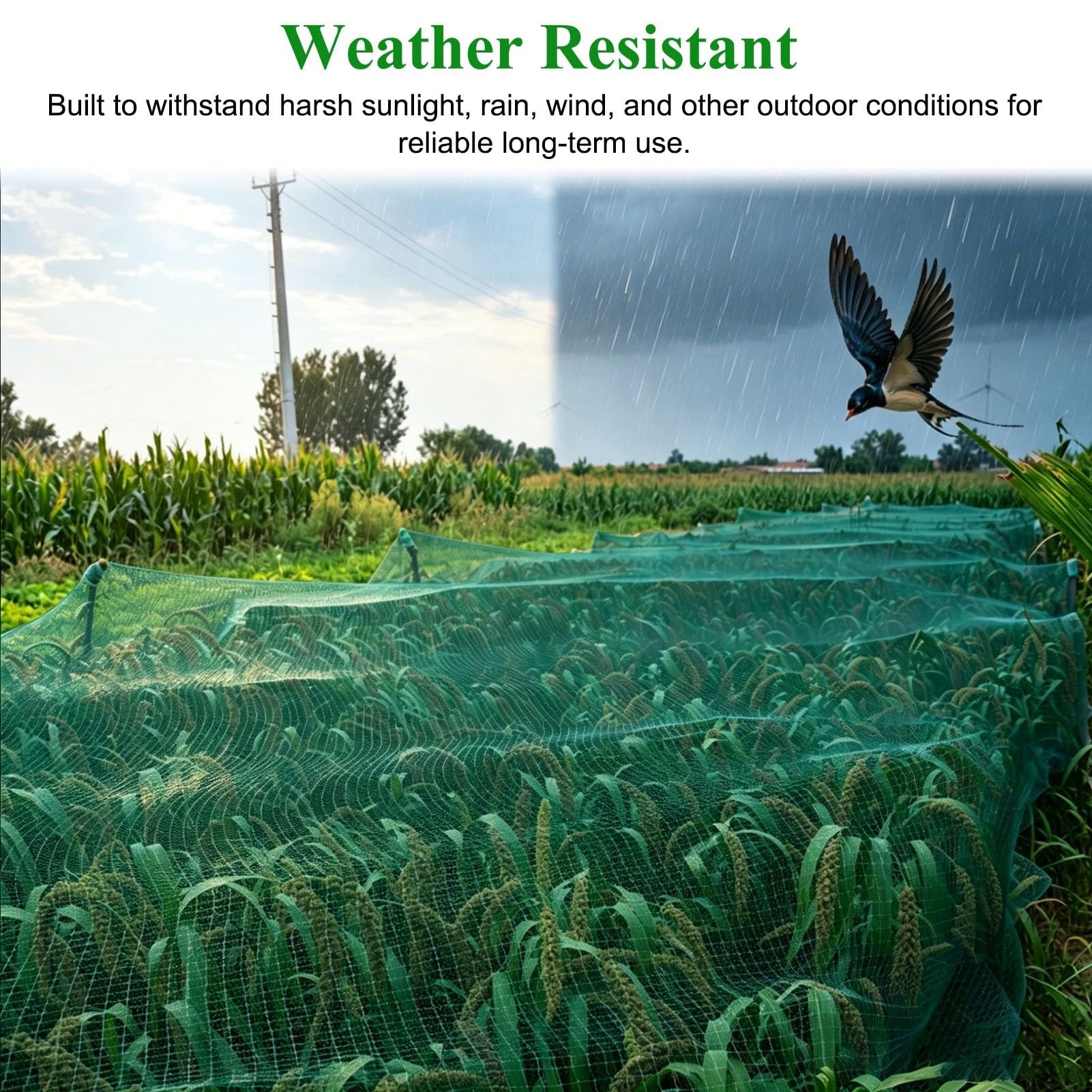 Rete Anti Uccelli Rete Anti-uccelli a Bassa Visibilità (lunghezze da 2 a 40 m) | Rete di Protezione per Alberi da Frutto e Arbusti, Rete per Tralicci Resistente Agli Agenti Atmosferici(4x12m(13.1x39.4ft))