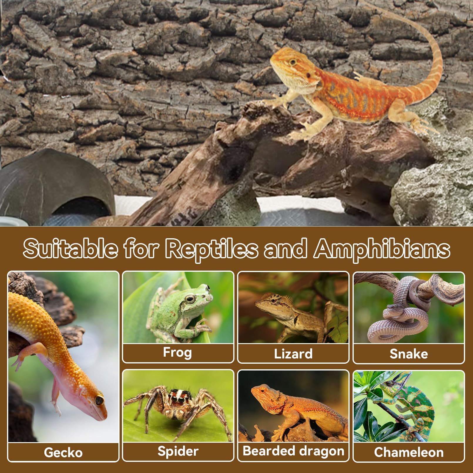 2 fondos de corteza de corcho para reptiles, 15.74 x 11.81 pulgadas, fondo de terrario de madera de corcho natural, decoración de pared para lagarto, geco, camaleón, tortuga, serpiente, araña,
