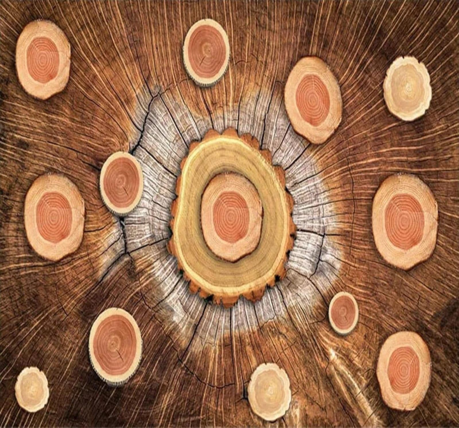Papel Pintado 3D Anillos De Madera Vetas De Madera Arte Creatividad Comedor