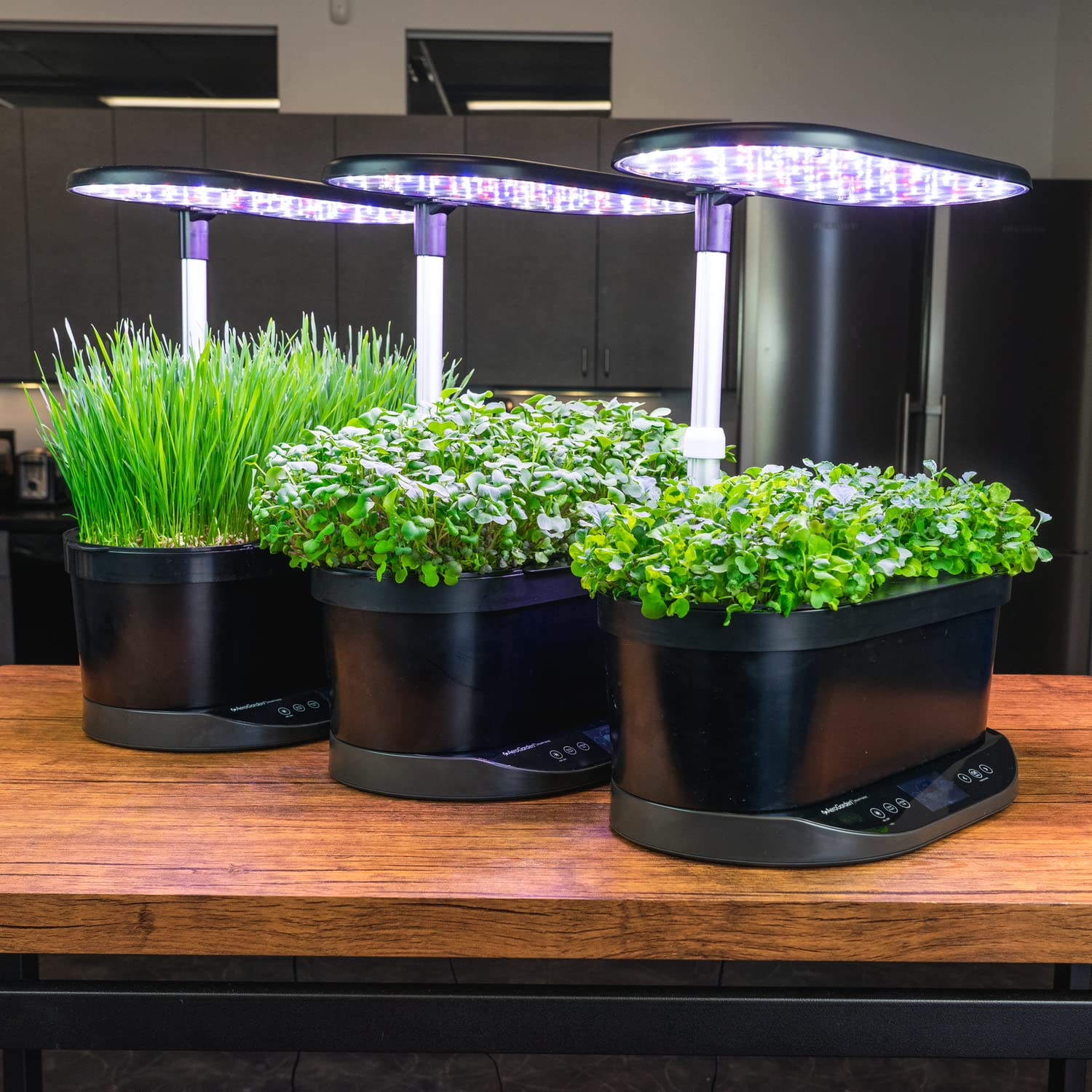 11+ Microgreen Kit With Light