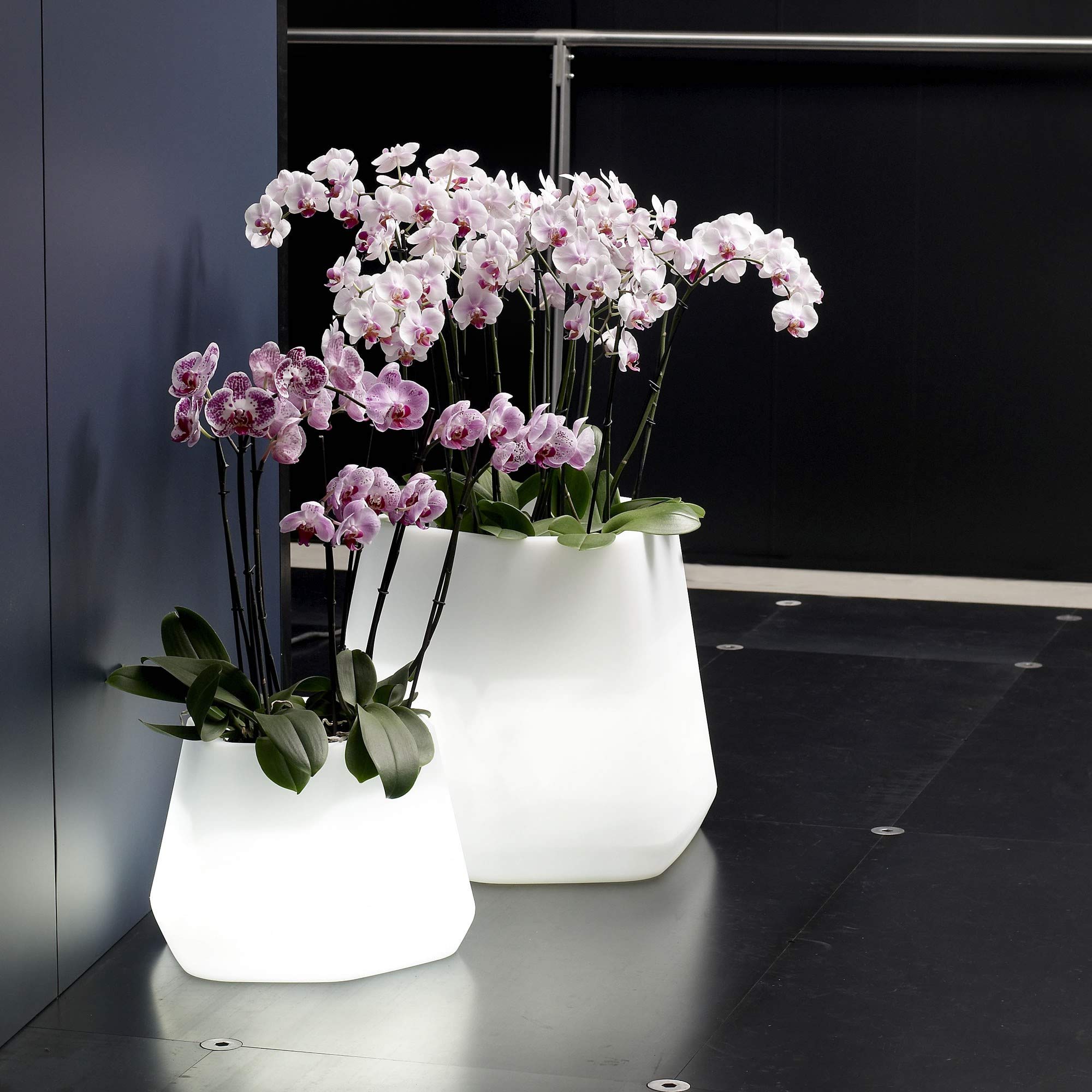 Danieli Vasi Luminosi da Giardino | Vaso luminoso da interno ed esterno | Fioriera e Vasi a led a risparmio energetico 100% Made in Italy (MEDIUM, Bianco CALDO)