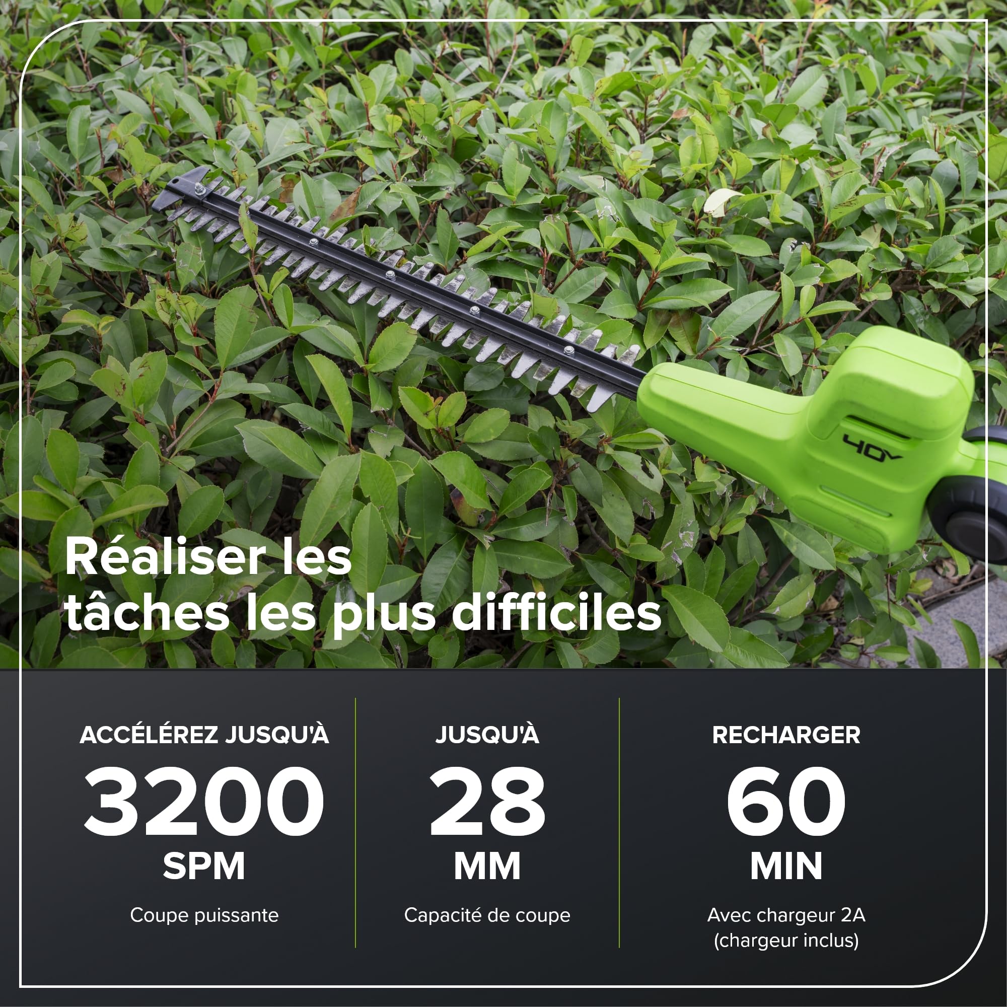Greenworks 40V Cortasetos Pértiga Eje Divisible, Cuchillas Doble Acción 51 cm, Corta Ramas 28 mm Grosor, Pivote Cabezal 112.5°, 3200 SPM, Batería 2 Ah y Cargador PH40B01-01