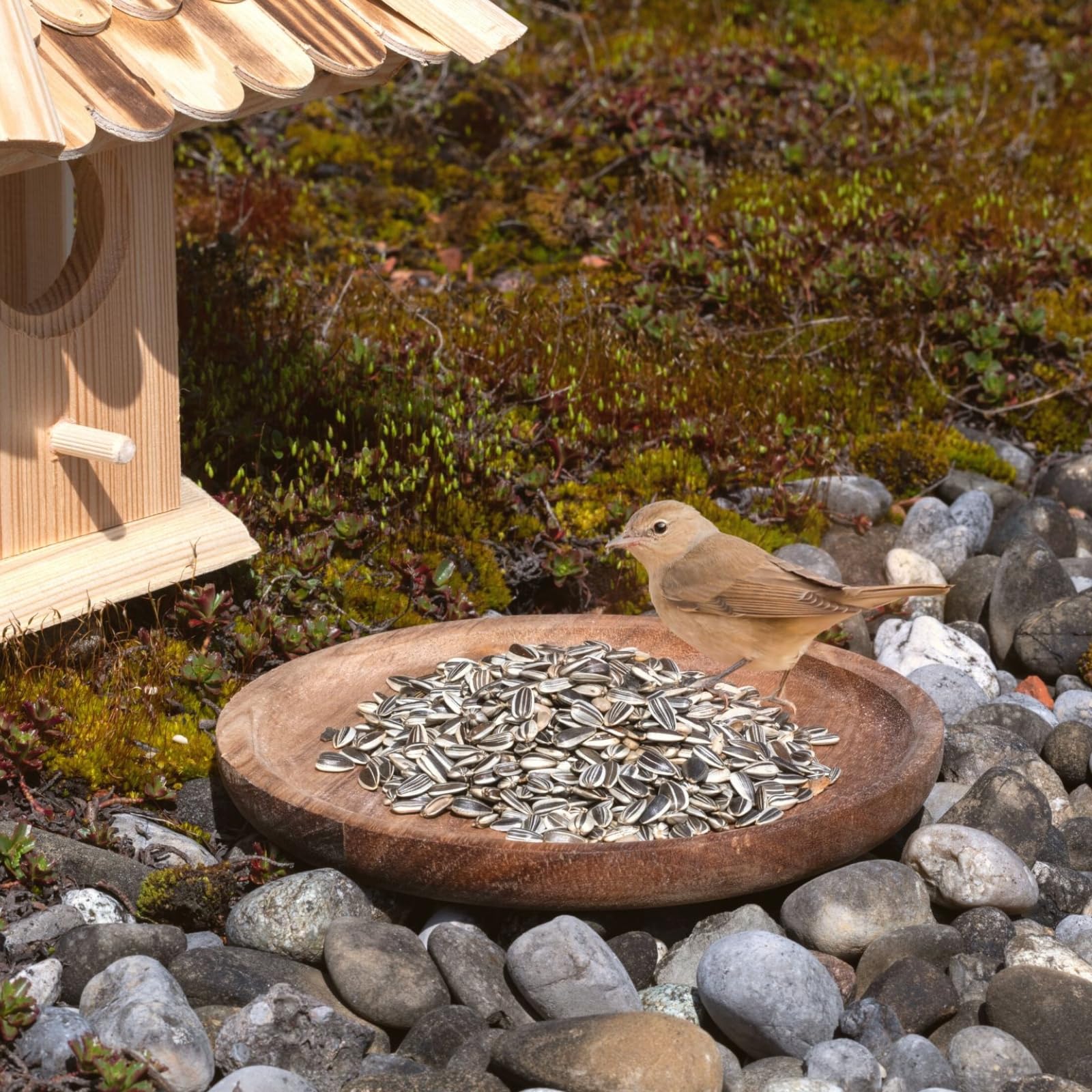 Graines de Tournesol Rayées 25 kg Lyra Pet Nourriture Oiseaux Sauvages Huile
