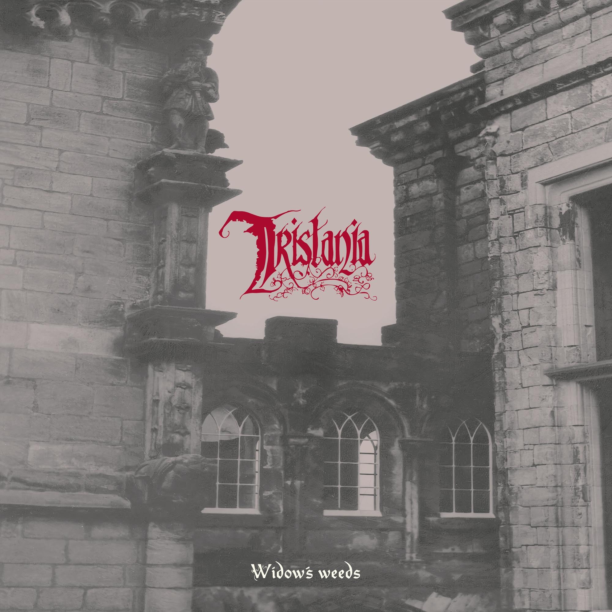 Widowҳ weeds & tristania