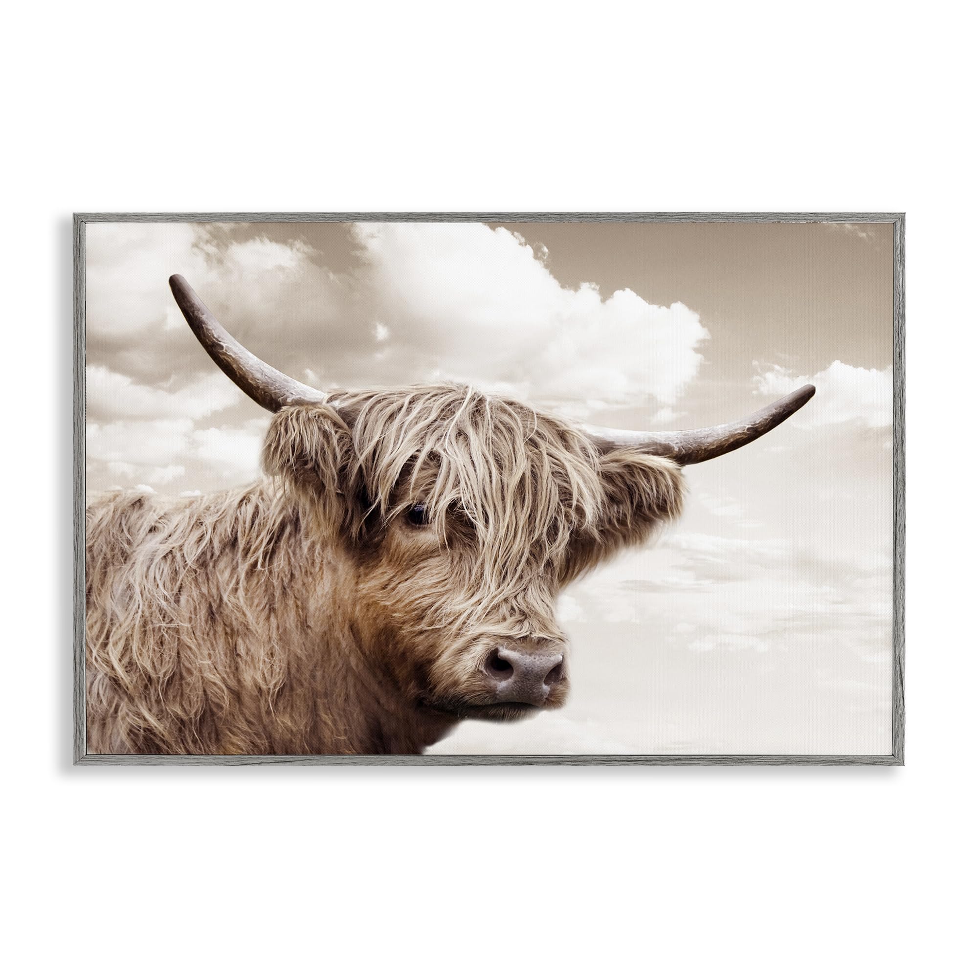 Stupell Industries 'Shaggy Highland Cow & Clouds', Framed Giclee Art, Gray, 30 x 20 Inches, Easy to Hang and Sturdy, Made in USA, by CAD Designs