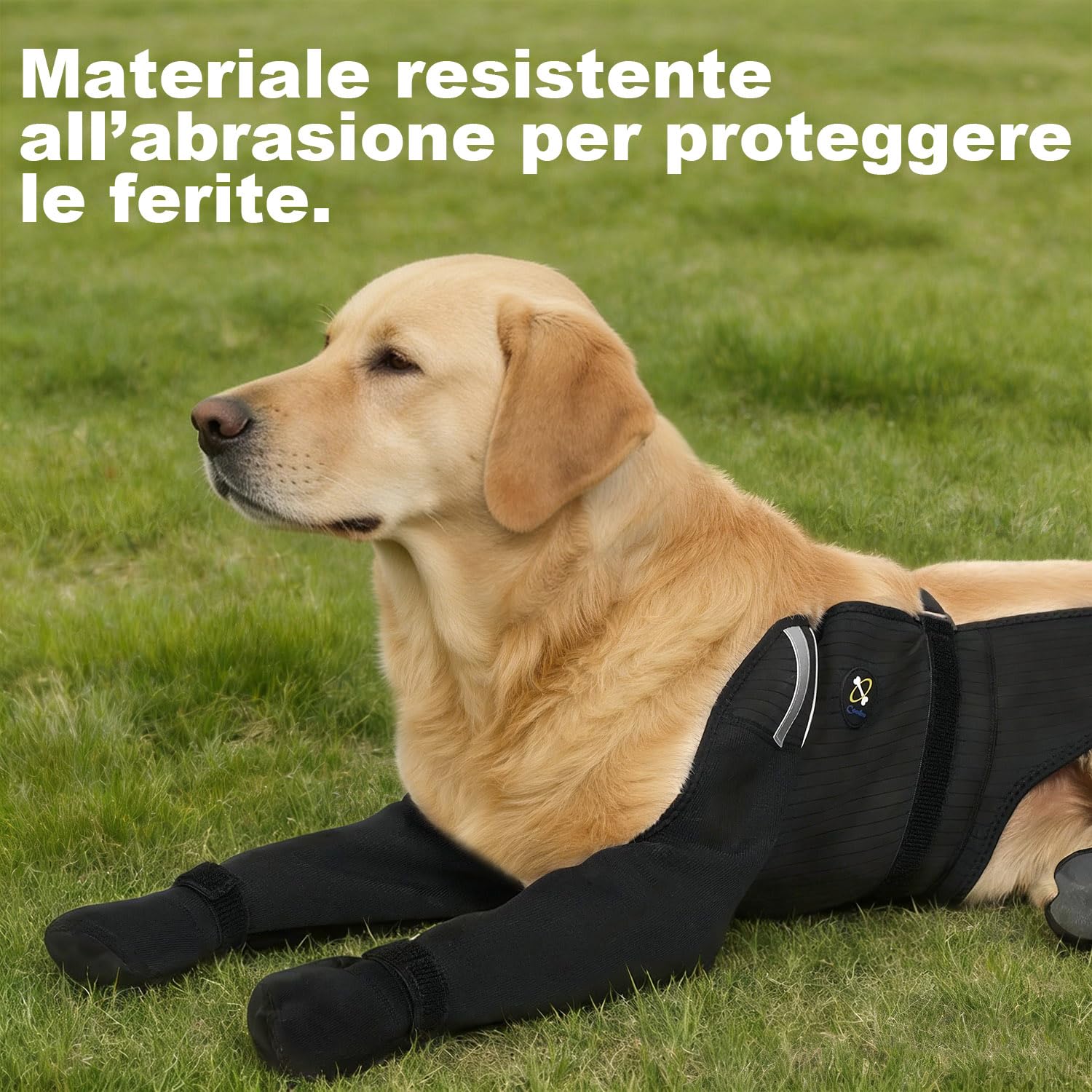 COODEO Calzini Impermeabili per Cani 4 Zampe, Antiscivolo, Protezione Anti-Leccamento, per Ferite, Pioggia, Neve e Cura Post-Operatoria (Nero, L)