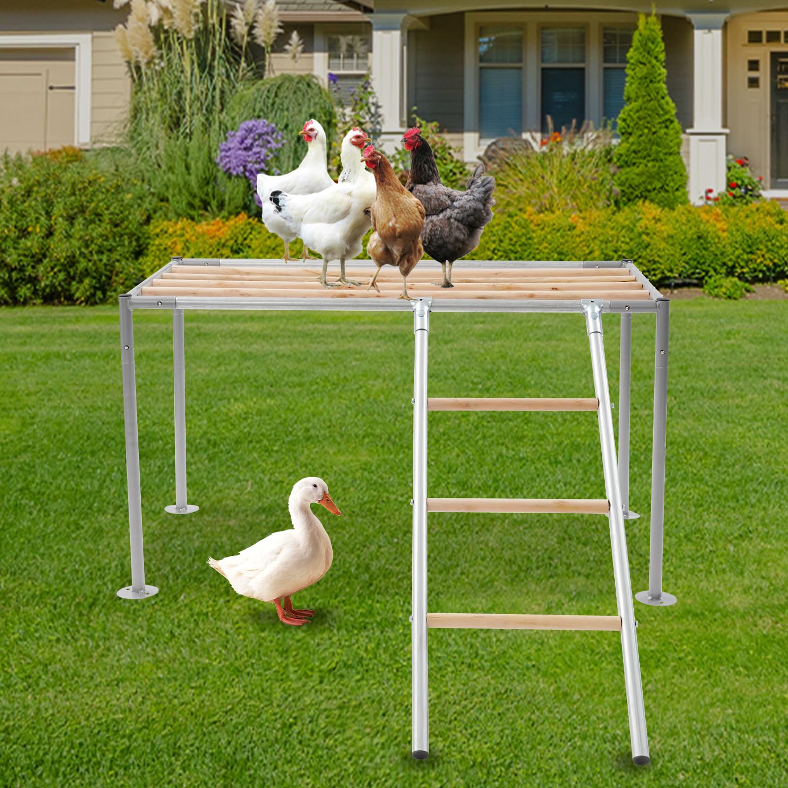 Piattaforma per polli con scala di pollo, scaletta per arrampicata pollaio, accessorio per piattaforma di riposo per polli e polli adulti, 105 x 60 x 60 cm
