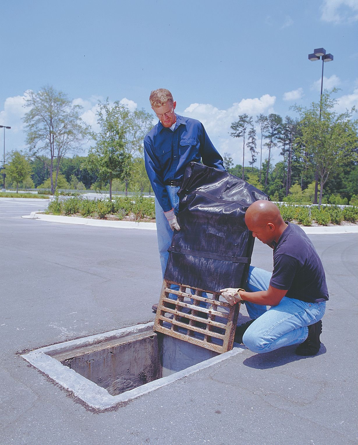 Inlet Guard, 4 in. H, 24 in. L, 36 in. W