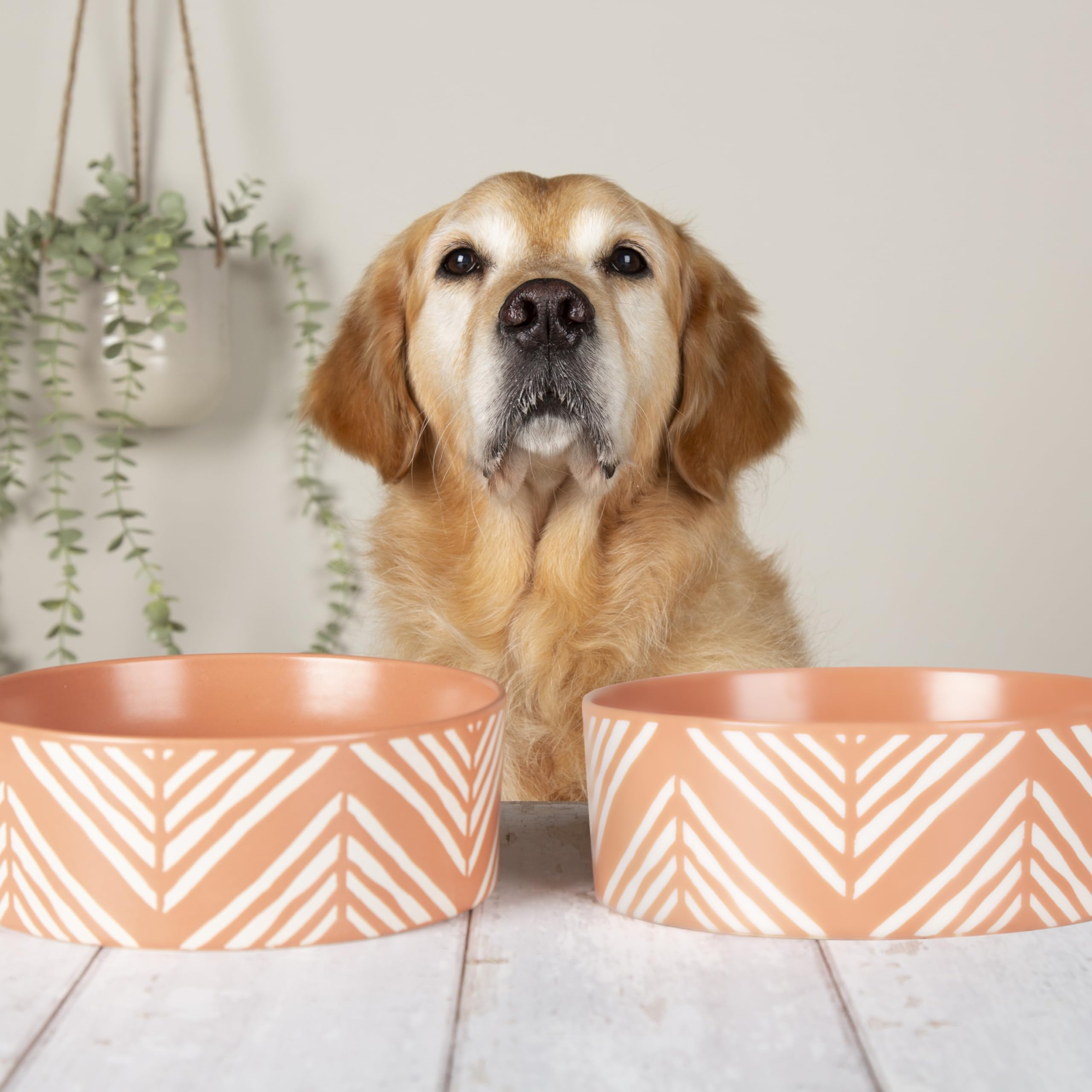 Scruffs Aztec 2pc Ceramic Dog Bowl Set - Terracotta 19cm