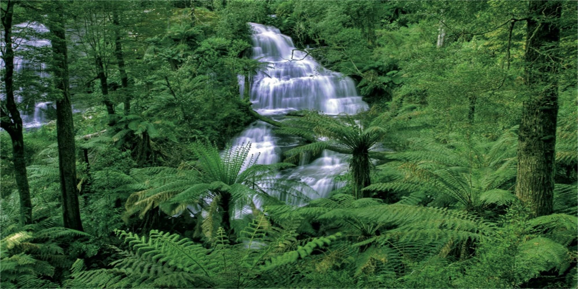 MIRRORANG 76x30cm Rainforest Terrarium Background Waterfall Aquarium Background Tropical Plants Green Tree Reptile Habitat Background Durable Vinyl Background