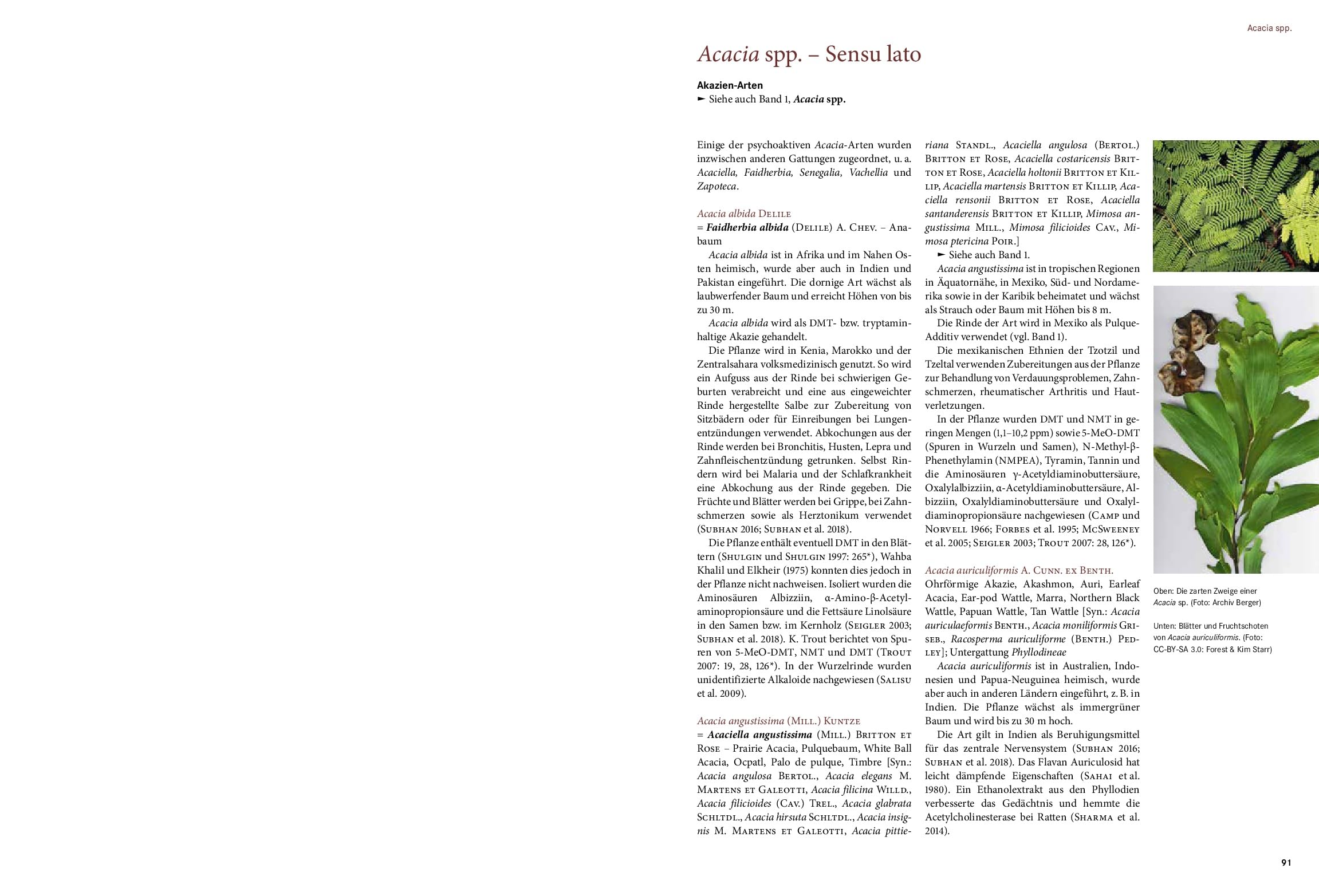 Enzyklopädie der psychoaktiven Pflanzen – Band 2: Neue Pflanzen, Pilze, Bakterien. Anwendung. Kulturgeschichte. Botanik, Dosierung, Anbau und Wirkung