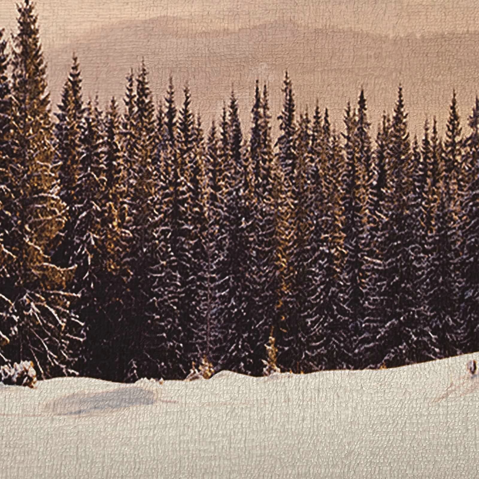 Aeici Couverture Polaire, Couverture Enfant Couverture 180x240 cm Motif de Montagnes et D'Arbres Couverture Canapé pour Salon Lit