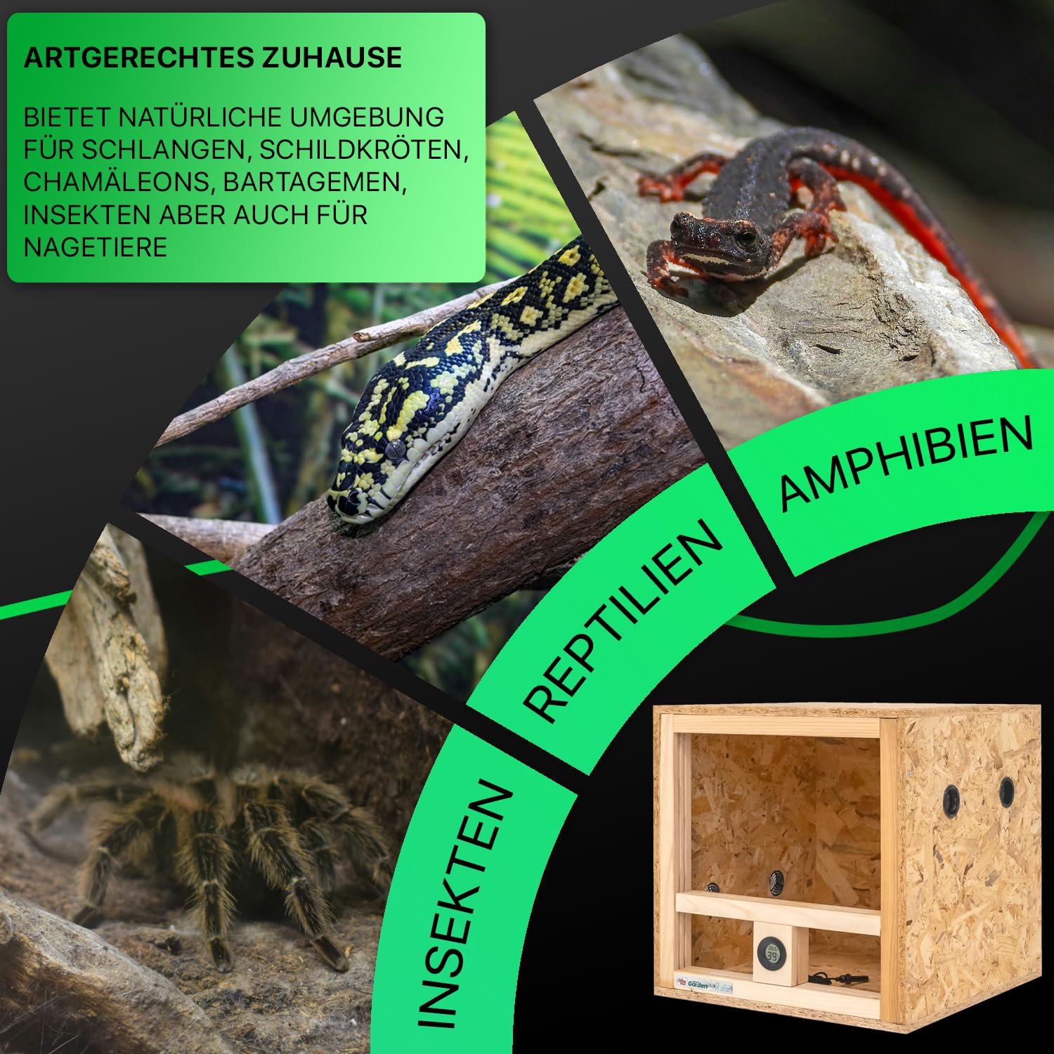 ITA Mini Terrarium 40x40x40 cm mit Seitenbelüftung & Integriertem Hygrometer - Holzterrarium aus OSB-3 Platten - Terrarien für Reptilien, Schlangen, Amphibien - EU Produkt, FSC Zertifiziert
