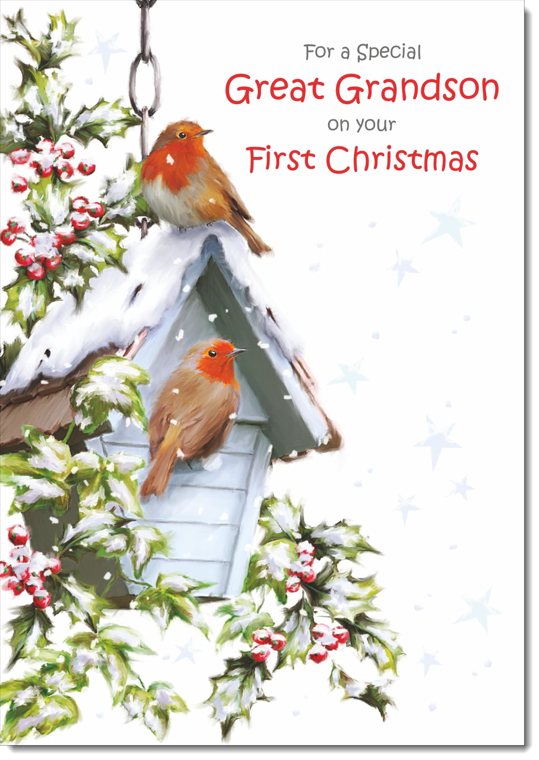 doodlecards Great Grandsons 1st First Christmas Card Two Robins in Snow Large A4 Size Christmas Card for Great Grandsons 1st with Plain Envelope